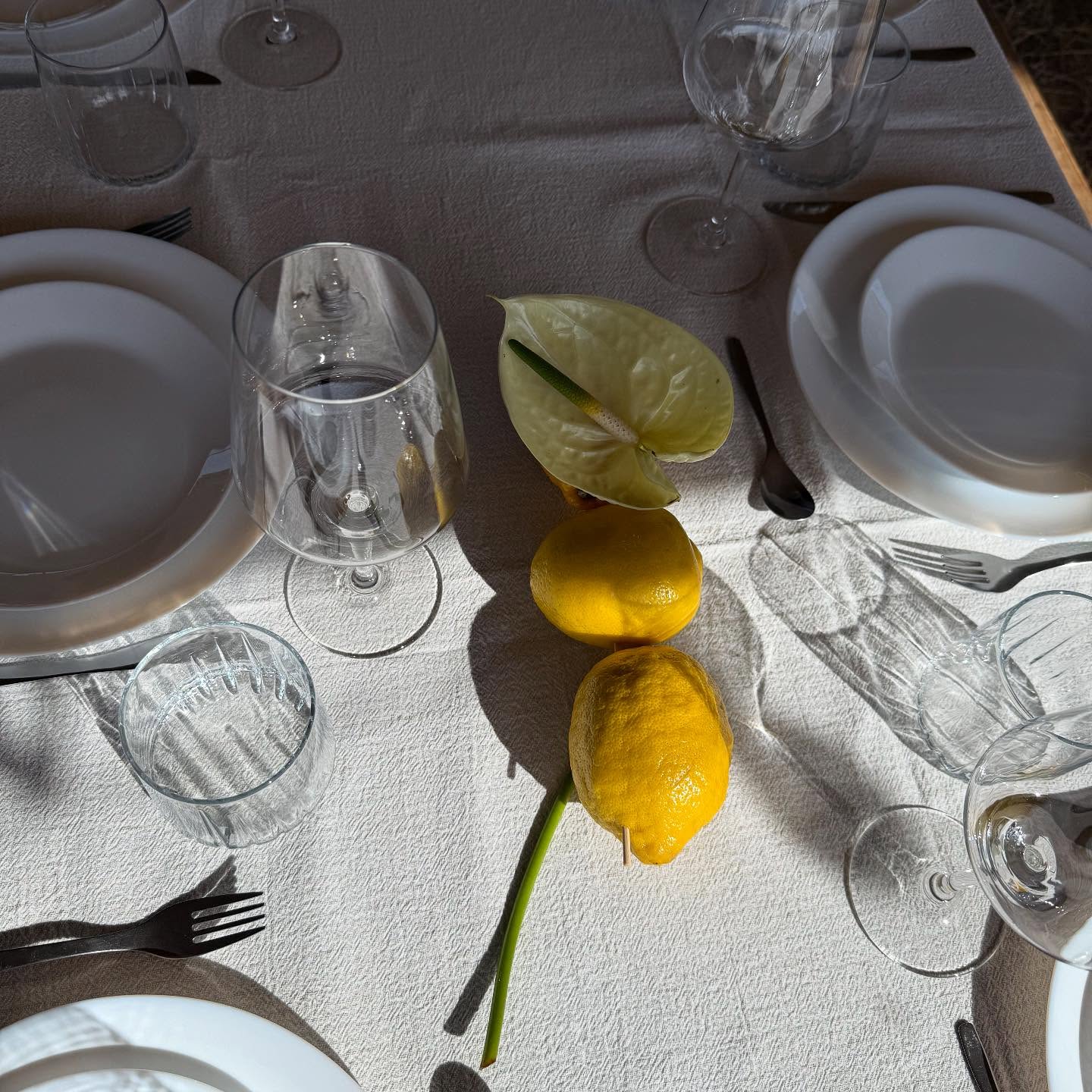 A truly special moment for us hosting a wedding within our own family, here at Casa Tudo Bem.
Our heartfelt thanks to everyone who contributed their time, energy, and talent to make this celebration so meaningful
Our talented chef
@nameless.journey.rm
For bossa-nova vibes @pedrinhoribeiro
Shots that we will publish soon @tata_lelitsa
Our casa tudo bem team Rosie and Arthur 🧡