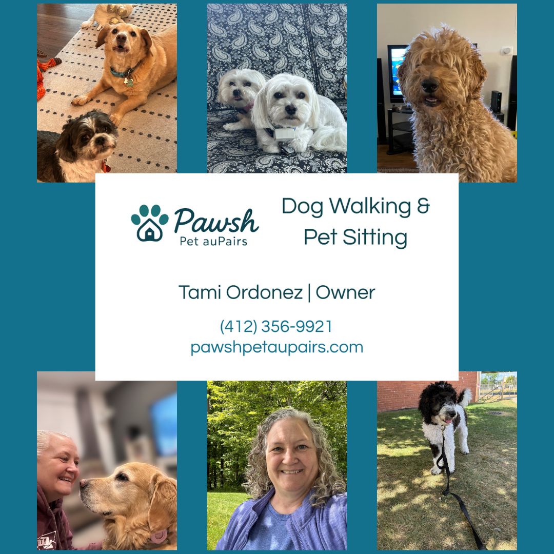 🍂🐾 Fall fun is just around the corner! 🐾🍂
I’m so excited to be part of the Kennedy Garden Club’s Fall Festival—and I’d love to see YOU (and your pup!) there! 🎉 Bring the whole family out for a day of crisp autumn air, community cheer, and tail-wagging good vibes.
📍 Fairhaven Park, Fairhaven Rd, Kennedy Township, PA
🕛 12:00 – 4:00 PM
📅 Saturday, September 27, 2025
✨ Stop by the Pawsh Pet auPairs table for:
🐶 Refreshing water & tasty treats for your fur baby
📋 Info on our luxury pet sitting & dog walking services
💌 A FREE Meet & Greet + 10% OFF your first service when you sign up
🎟️ A chance to win FREE & discounted services in our special drawing!
Don’t miss this paws-itively perfect fall outing—it’s going to be a day full of fun, friends, and furry companions. 🍁🐕
#KennedyGardenClub #FallFestival #KennedyTownship #PittsburghEvents #PittsburghPets #PetParents #PetLovers #DogMomLife #DogDadLife #FurBabies #PetCare #DogWalkingLife #PetSittingServices #PawshPetAuPairs #PittsburghDogs #LocalLove #ShopLocalPittsburgh #PetCommunity