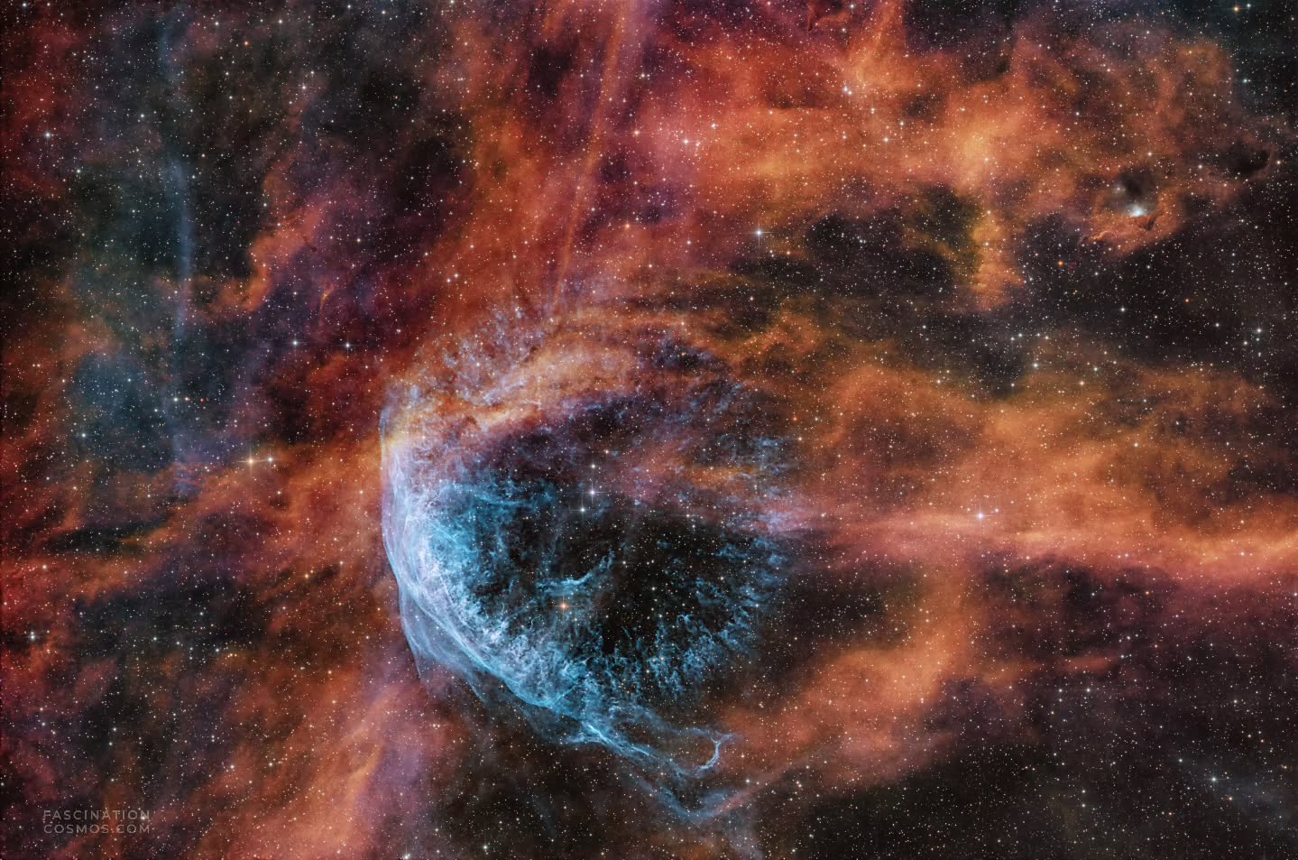 Wolf-Rayetstern WR 134
WR 134 ein echter Exot, ein Wolf-Rayet-Stern. Der Name, Wolf und Rayet? Das waren die Typen, die Mitte des 19. Jahrhunderts bei der Beobachtung von Sternen im Schwan plötzlich Spektren sahen, ungewöhnlich, spektakulär. Das musste eine neue Sternenklasse sein: die Wolf-Rayet-Sterne! Und WR 134 ist so einer. Ein veränderlicher Wolf-Rayet-Stern. Aber was macht den so besonders? Der ist sagen wir mal im Stress, das sind Sterne, die sind am Ende ihres Lebens angekommen oder kurz davor. Die pusten ihre äußeren Hüllen geradezu ins All hinaus mit irrsinniger Geschwindigkeit, über 1000km pro Sekunde, ein Sternenwind, der es in sich hat! Und dieser Wind, diese Materie, die da rausgeschleudert wird, die bildet um den Stern herum so eine Art Blase, einen Blasennebel, der auf dem Bild dann durch die Langzeitbelichtungen mit meinem OIII-Filter so wunderbar zartbläulich zu sehen ist. Und der Stern selbst? Der ist nicht riesig vom Durchmesser her, so fünffacher Sonnenradius, geht also. Aber die Temperatur: über 63.000 Kelvin! Zum Vergleich: Unsere Sonne hat an der Oberfläche um die 5.500 Kelvin. Dieser WR-Stern ist also brutal heiß. Und weil er so heiß ist und so viel Energie in das ihn umgebende interstellare Gas und den Staub rausballert, ist der auch 400.000-mal heller als die Sonne! Das sind also keine gemütlichen Sterne mehr, das sind, sagen wir mal die Rockstars unter den Sternen: extrem, kurzlebig, und sie gestalten ihre Umgebung ganz aktiv mit.
Aufnahme: Lacerta Newton 12", 1200mm, f/4, QHY268M Monokamera mit 7 Filtern, QHY OAG-Nachführung ASI-174MM-Mono, SestoSenso2-Fokusser, Celestron CGX. 21 SH-Filter zu je 600s, 8 OIII Filter 20 Minuten, 20LRGB Aufnahmen mit je 120s, etwas mehr als 4 Stunden Aufnahmezeit. Mit Astro Pixel Prozessor, Pixinsight, Adobe PhotoShop verarbeitet.
© 2025, Bestellung von Kopien und Bildern gerne unter https://photo-portal.shop/profiles/fascinationcosmos.com/#/ oder per Nachricht an mich.
#fascinationcosmos #faszinationkosmos #franzrettenbacher #astrophotography #astrofotografie #astrophoto #astrofoto #deepsky #qhy268m #CelestronCGX #deepspace #WR134 #Wolf-Rayetstern