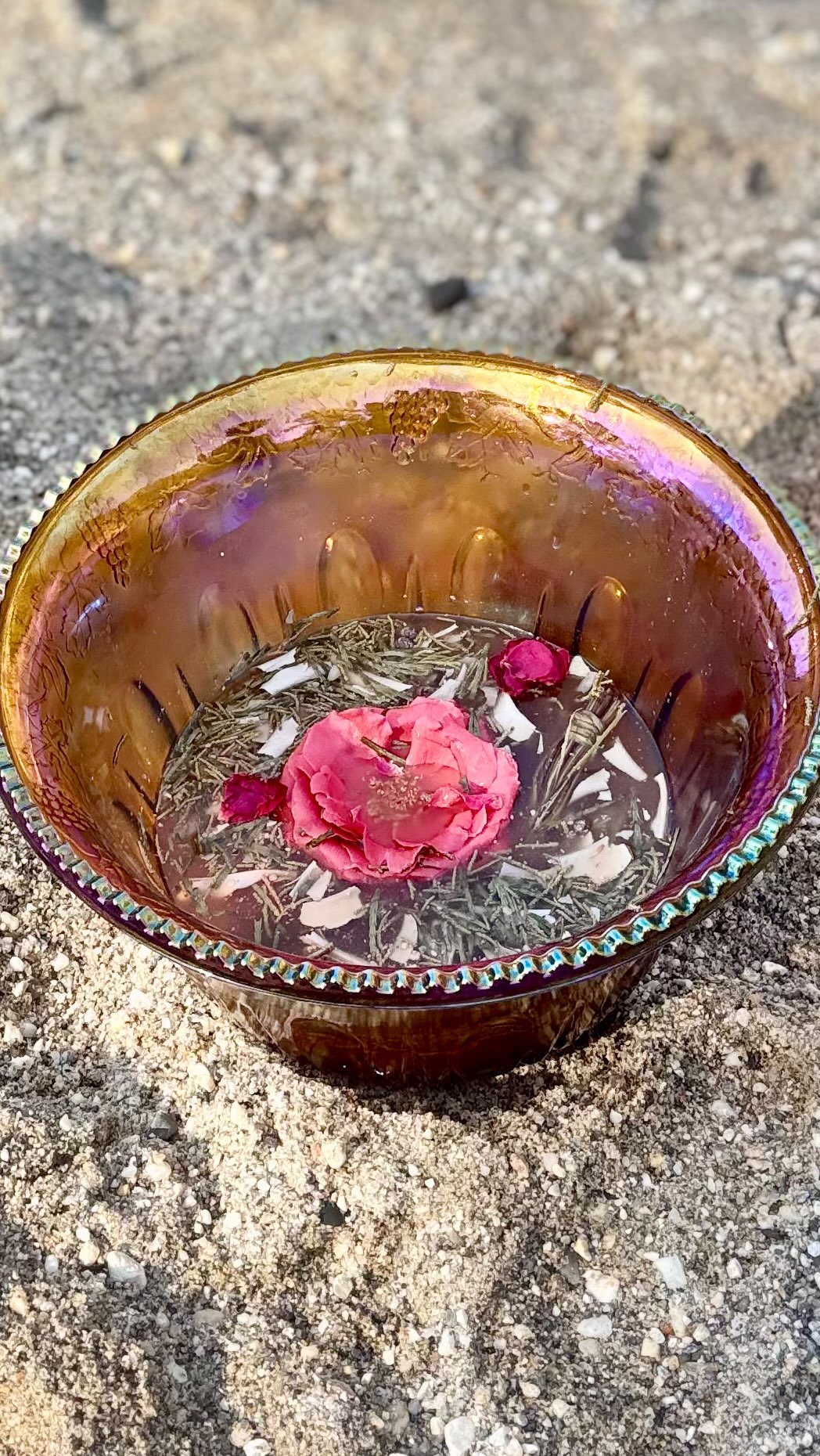 What a blessing my time in the U.S. has been.
So full of deep connection with the waters, the land, and the beautiful open-hearted people. I leave with my heart tender, broken open by the depth of this experience, and filled with gratitude for all the ways I have been held and supported.
Precious moments with the children, the elders and soul family I’ve known across lifetimes.
So special to practice in person with @jaidev108 , and to be received so warmly by @lifeforceacademy , see you at Medicine next year!
Now I return home, to my family, my garden, and my Fire to integrate what has been a truly powerful journey. 🔥❤️
Thank you to Star Clan, and especially to @marzamillar
@ashlee.sakaishi.wilkin
@jadehummingbird
@chonie.vargas
@natasha_._anand
@kristina.batty
for your loving support.
#Gratitude #SacredJourney #HeartOpen #SoulFamily #SacredWaters #SpiritualPractice #Integration #BackToTheFire #LifeForce #Blessed
#thevidasana #vidasana #visionquest #sacredfire