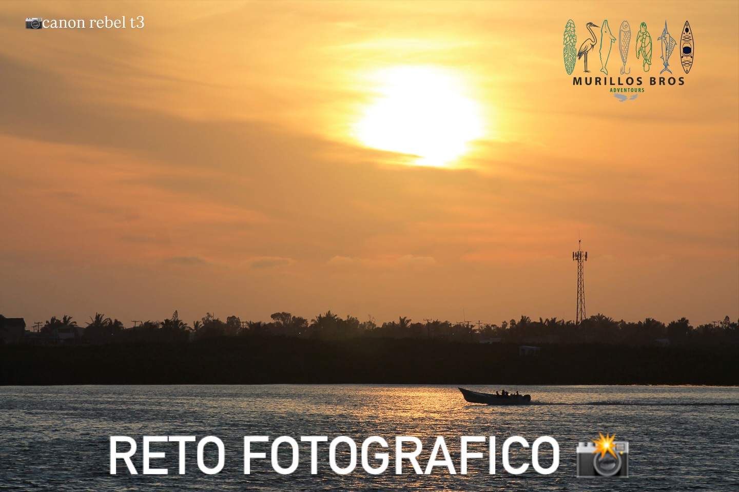 Amigos y amigas, lanzamos este primer reto fotográfico para compartir la belleza de Puerto San Carlos y Bahía Magdalena-Almejas 🌊🐬🌿
👉 La dinámica es simple:
• Sube aquí en los comentarios hasta 3 fotos originales tomadas en Bahía Magdalena-Almejas.
• Indícanos también con qué tomaste la foto (celular, cámara, dron, etc.).
• No importa si eres aficionado o profesional: lo importante es mostrar lo increíble de nuestro lugar 🙌
• Todas las fotos participantes se quedarán aquí en la publicación para que todos las vean, disfruten y reaccionen.
📅 Fechas:
• Recepción de fotos en comentarios: hasta el 15 de octubre 2025
• A partir del 16 de octubre 2025 compartiremos las 3 fotos con mas likes.
✨ Este es solo un ejercicio piloto para hacer comunidad y mostrar juntos la magia de San Carlos, B.C.S.
📲 ¡Participa, síguenos y comparte para que más personas conozcan, Bahía Magdalena-Almejas! 👍🔁
#SanCarlos #BahíaMagdalena #MurillosBrosAdventours #Fotografía