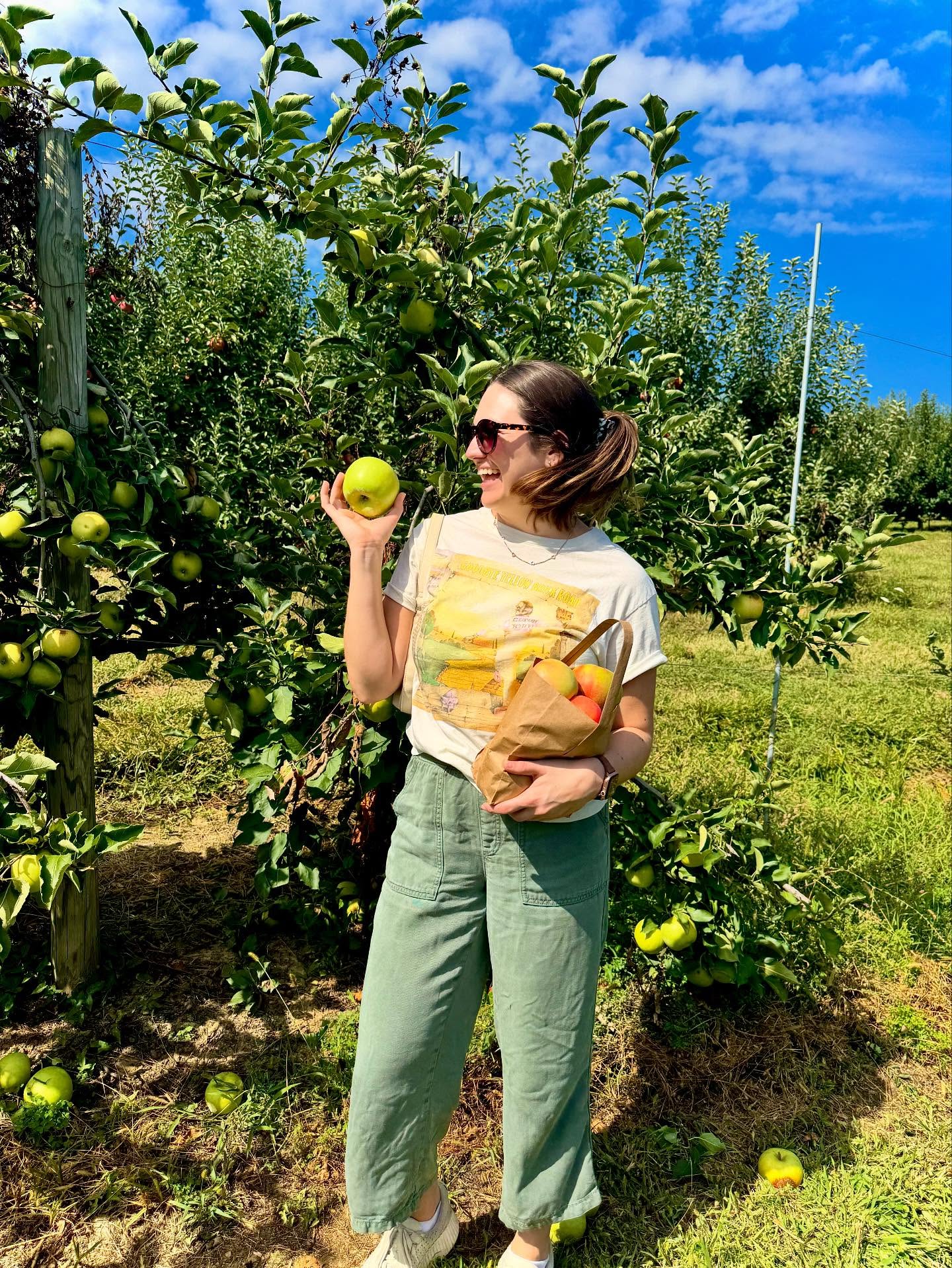 apple picking on a sunny day!