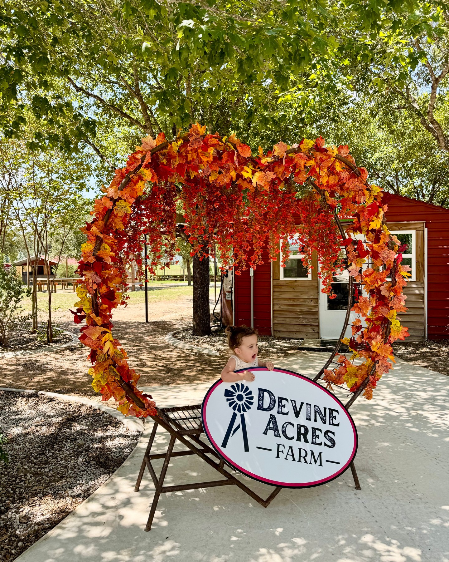 3 days 'til our 2025 season kicks off 😍🎃✨
This Saturday & Sunday, 10am-6pm
Plan your visit: devineacresfarm.com