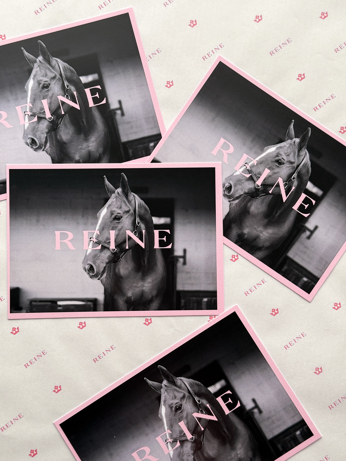 Custom packaging coming in HOT ❤️🔥
Reine doesn’t do “just throw it in a box”
The unboxing is part of the luxury - bold, fab, and every bit as considered as the pieces themselves
Ready to place your order? We might just throw a pair of complimentary socks in for our first few customers ✨😉
Gallop over to www.reineatelier.shop today!