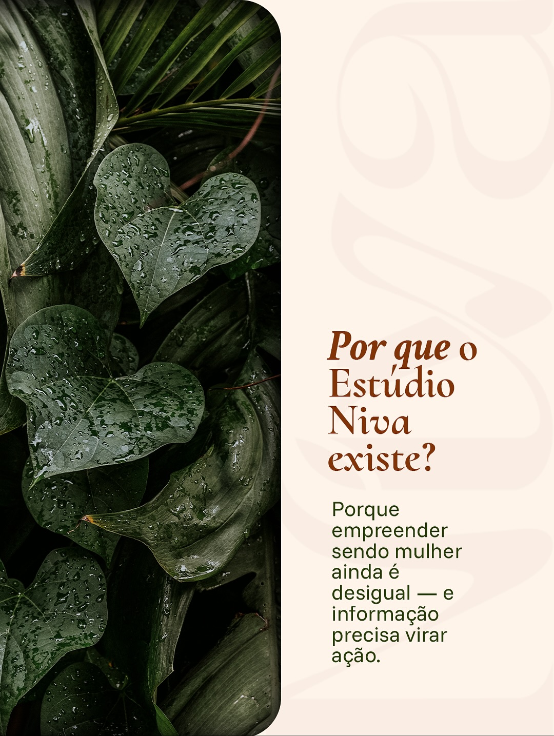 A desigualdade não é uma escolha nossa. Mas o movimento que nasce a partir dela, sim.
A Niva existe porque acreditamos que marcas femininas são mais do que negócios: são sementes de transformação social.
Aqui, branding e comunicação não são luxo. São ferramentas de voz, de visibilidade e de impacto.
🌿 A Niva é um estúdio, mas também um ecossistema. Um espaço de apoio, de comunidade e de coragem.
Estamos aqui para que nenhuma empreendedora precise caminhar sozinha.