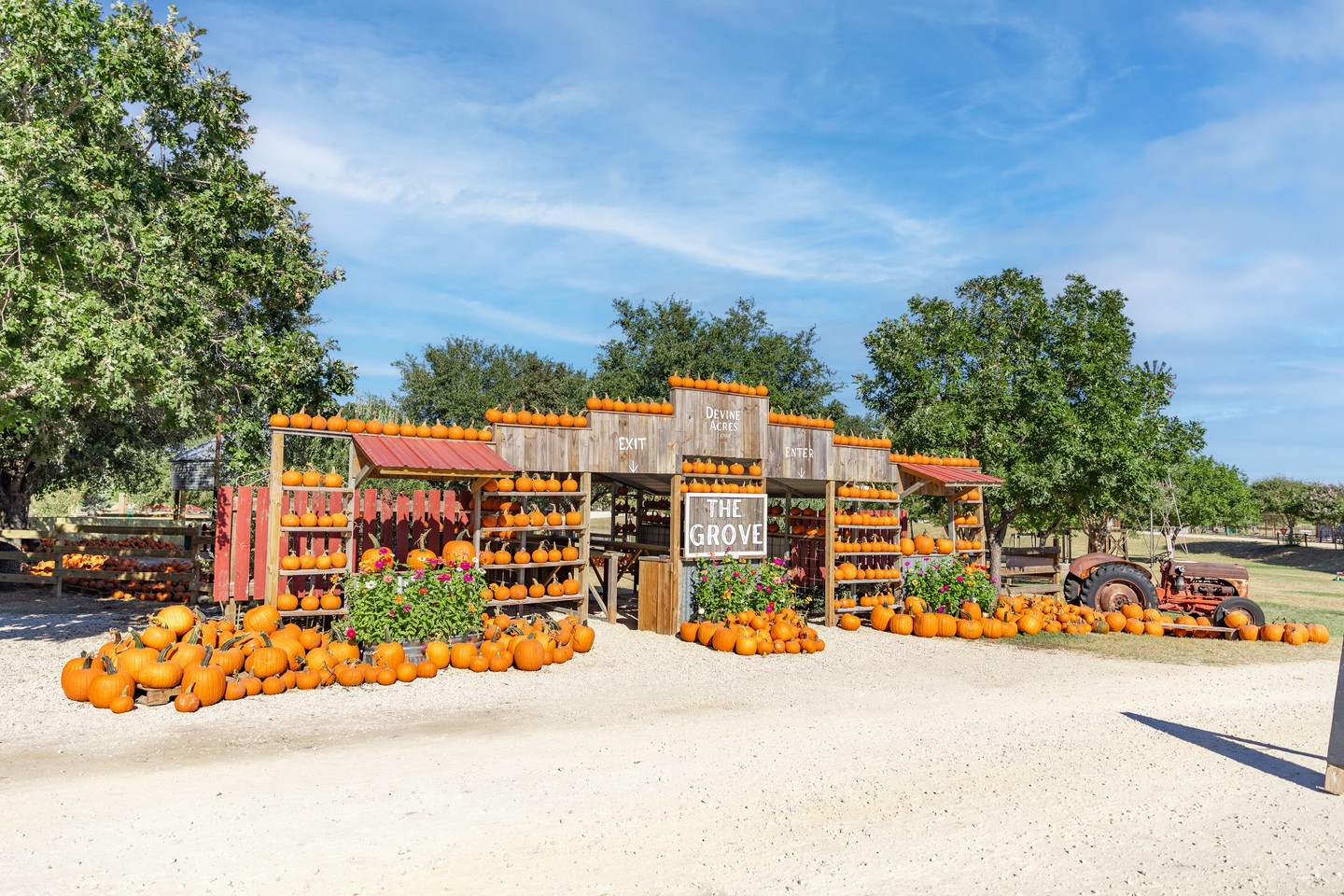 🎃🧡🌻🎶 Hey San Antonio! We open THIS weekend and everyone is invited! Join us for the kick off of Fall CountryFest at Devine Acres Farm!
Open Saturdays & Sundays..
STUNNING pumpkin displays 🎃 • Endless activities to enjoy 🎳 • Hayrides 🚜 • Catch-n-Release fishing 🐟 • Goat race shows 🏁 • Farm Animals 🐷 • Live music 🎶 • Flower field 💐 • Pumpkin patch ✨
Come hungry! Waiting for you is..
Apple Cider Donuts 🍩 • Our Famous Monster Mac-n-Cheese 🧀 • Insane Donut Shakes 🍨 • Pizza, Burgers, Nachos, Corn Dogs 🍔 • Fresh Popped Kettle Corn 🍿 • Refreshing Lemonade 🍋 • Margarita Flights 🍹 • Beer & Wine 🍻 • Shaved Ice, Ice Cream 🍧 • Coffee & Hot Cocoa ☕ ... and MORE
📍DEVINE ACRES FARM!
944 FM 2200 W Devine, TX
Get tickets & plan your visit: devineacresfarm.com