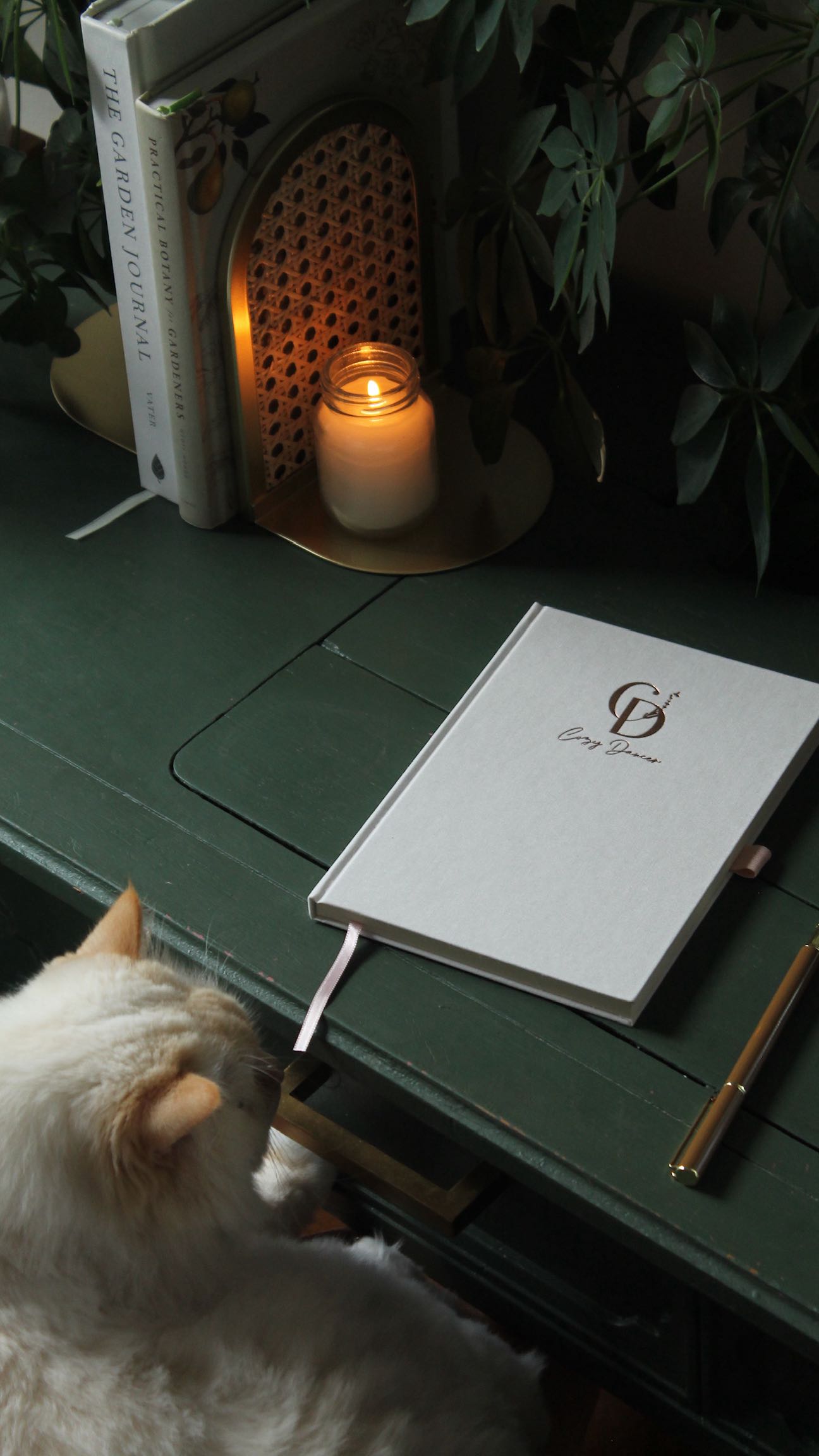 …and your dance teacher would agree
Elevate your dance journey with the Cozy Dancer Journal 💭 cozydancer.com