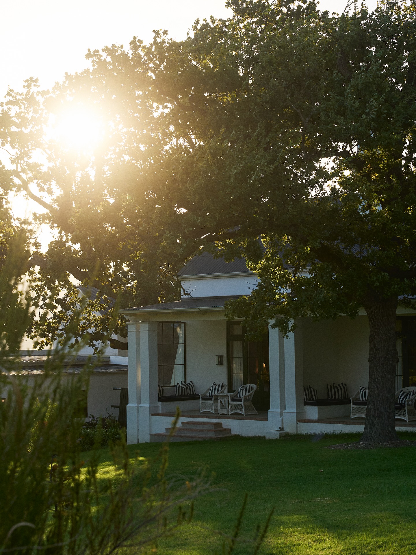 Embracing the beauty of a spring afternoon, where the sky prepares for a canvas of vibrant colours.
📍Manor House Mountain View Rooms
.
.
.
#lacotte #lacottefarm
#franschhoek #franschhoeklife
#sunsets #spring #hotel #nature