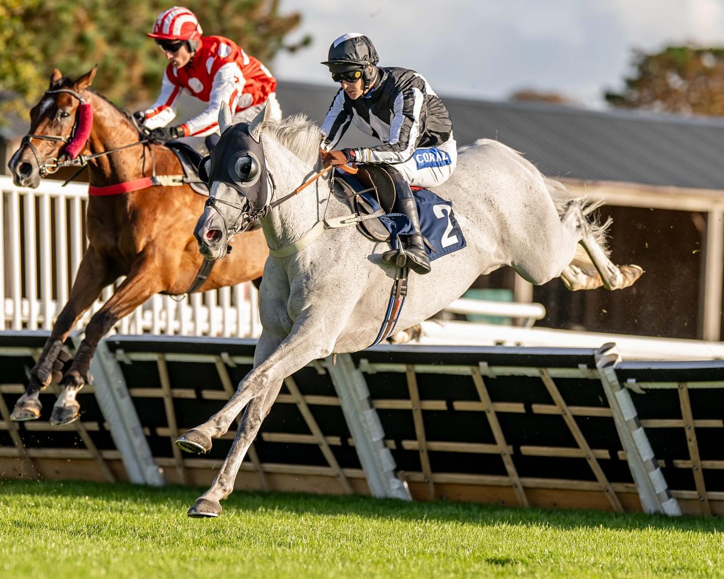 Great to see War Lord win today @fontwellpark ridden by @brendanp1995
Well done to The Wychwood Partnership 🌟
@coralofficial
@dodsonhorrell
