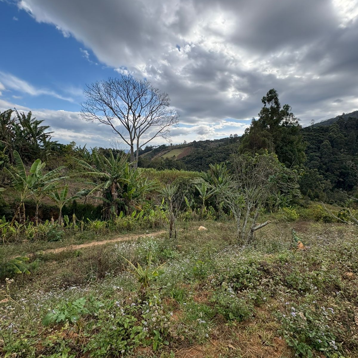 VENDE-SE EXCELENTES ÁREAS COM 1800M² EM DELFIM MOREIRA MG
2 lotes no centro do bairro, com 1800m² cada.
Com a possibilida de venda dos dois lotes juntos, com valor total menor.
Água de nascente e água em canada da cidade.
Fácil acesso, no centro do bairro.
R$100.000,00