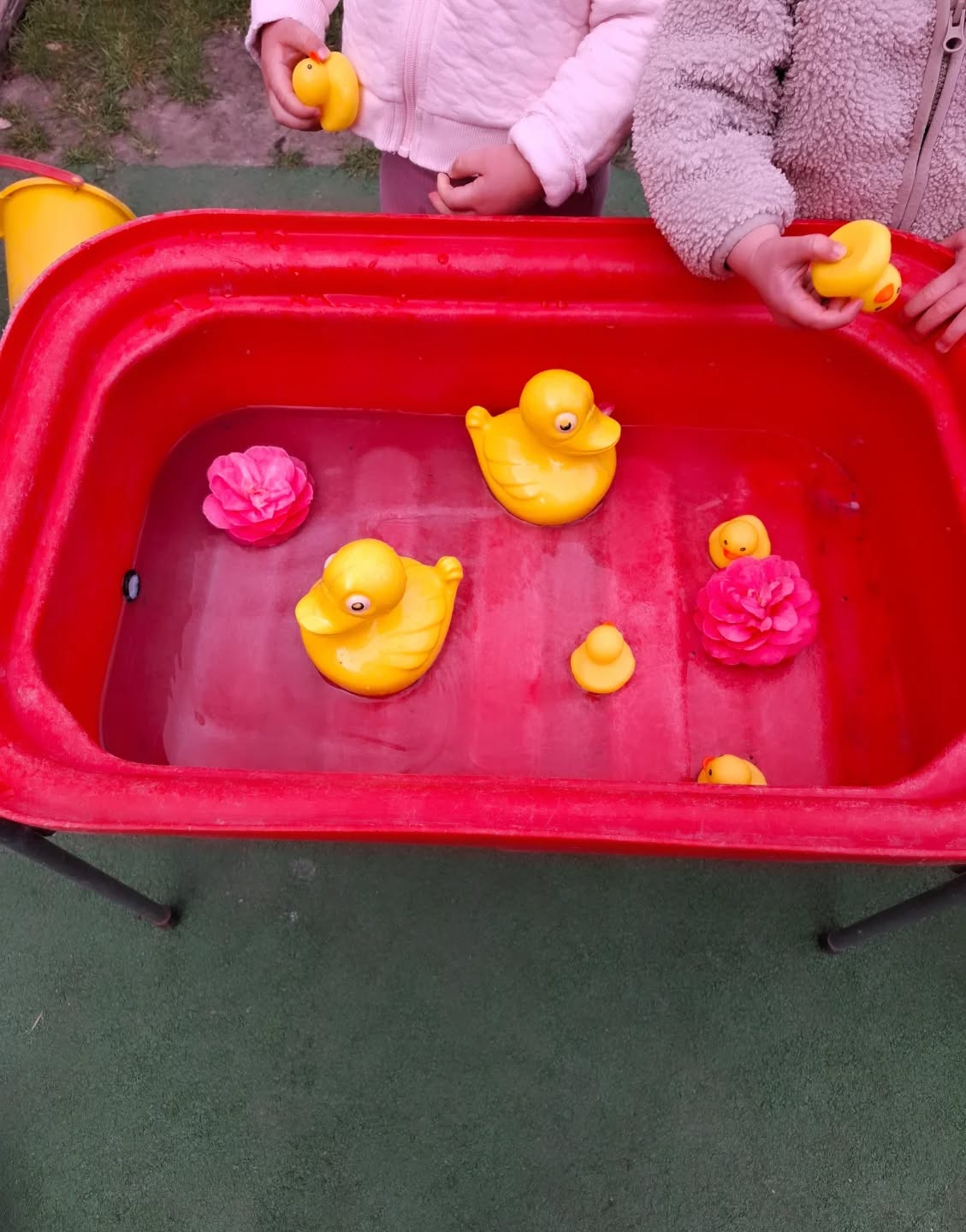 We love Spring! 🌸🐤🐤