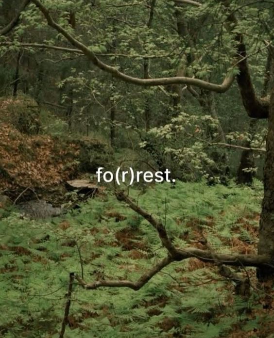 A little glimpse into my Autumn mood board. 🏹
Wanted to share my intentions for the Season ahead to hopefully inspire you/hold myself accountable!
• Daily creative practise (songwriting, beading, painting, spending time practising a beautiful new instrument I’ve just invested in)
• Daily @benshen.co morning meditation practise
• Holding my Vadoma Sound Ceremony events for you lovelies
• Collecting soundbites for my upcoming project & capturing moments along side it on my film camera (just got back into using it again!)
• Solo artist dates (those who’ve read The Artists Way - iykyk) ~ gigs, exhibitions, wellness events
• Epic Wardrobe clear out! (Vinted account coming soon 👀)
Would love to hear an intention that you’re hoping to embody as we fall into Autumn 🍂