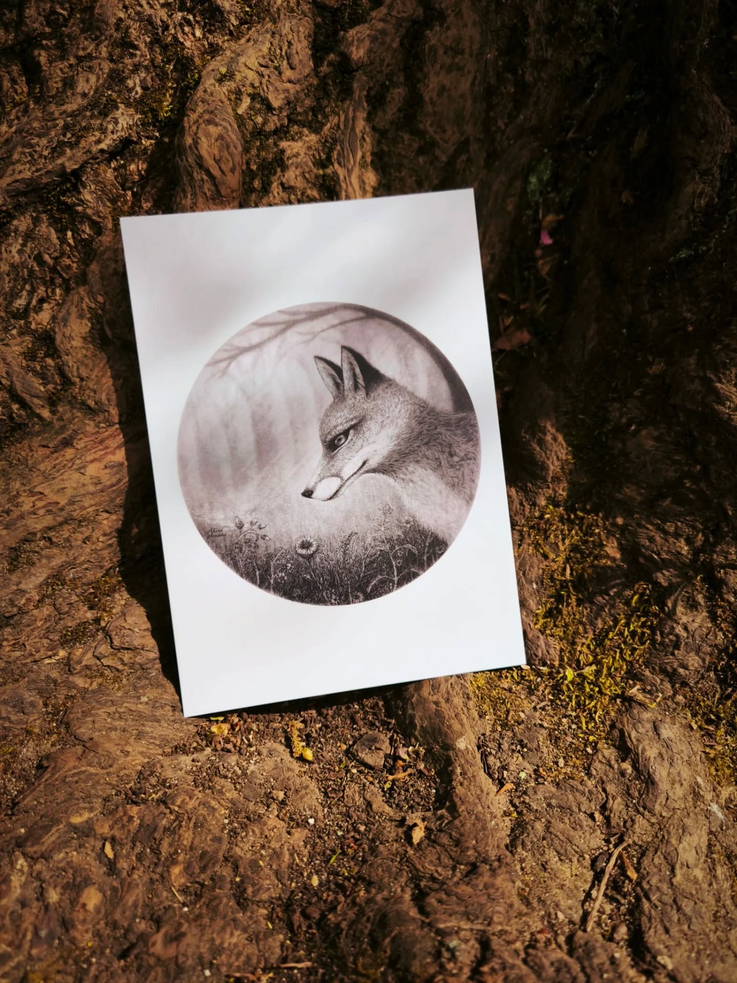 VIXEN
Drawn by hand using graphite pencil on textured paper. Prints will be available this weekend as part of the #nunheadarttrail2025
Exhibition space:
5 Nunhead Green, London SE15 3QQ
27th-28th September.
Venue 37 on the Nunhead Art Trail map.
#nunheadarttrail
#communityartists #lovefoxes #forestart #folkloreart #thegreennunhead #artprints