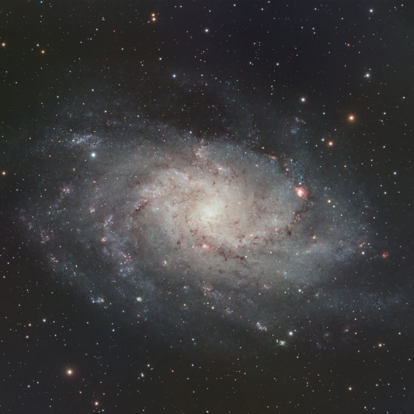 M33 Triangulum Galaxy taken last night. #astrophotography