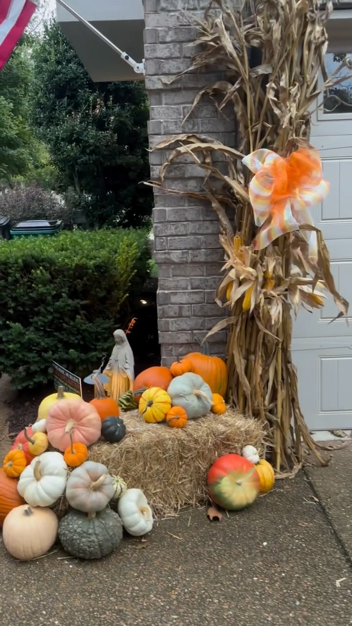Happy Fall! Had to give a special thanks to The Pumpkin Dispatch for bringing fall to my house! They did a fantastic job last year; but this year they really brought their A game! Love supporting this local business! 🎃 🍁