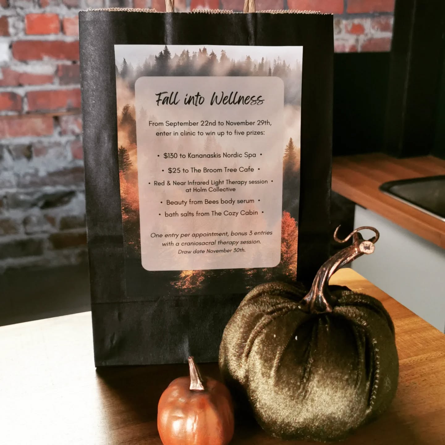 Contest Now Closed * winners have been contacted
Nordic Spa giveaway ๐ค Share our Fall into Wellness promotion with friends & family or keep it to yourself ๐คซ we won't judge
From September 22nd to November 29th enter in clinic to win up to five prizes:
โข $130 to Kananaskis Nordic Spa
โข $25 to The Broom Tree Cafe
โข light therapy session at Holm Collective
โข Beauty from Bees body serum
โข bath salts from The Cozy Cabin
One entry per appointment, three bonus entries with a craniosacral therapy session. Draw date November 30th.