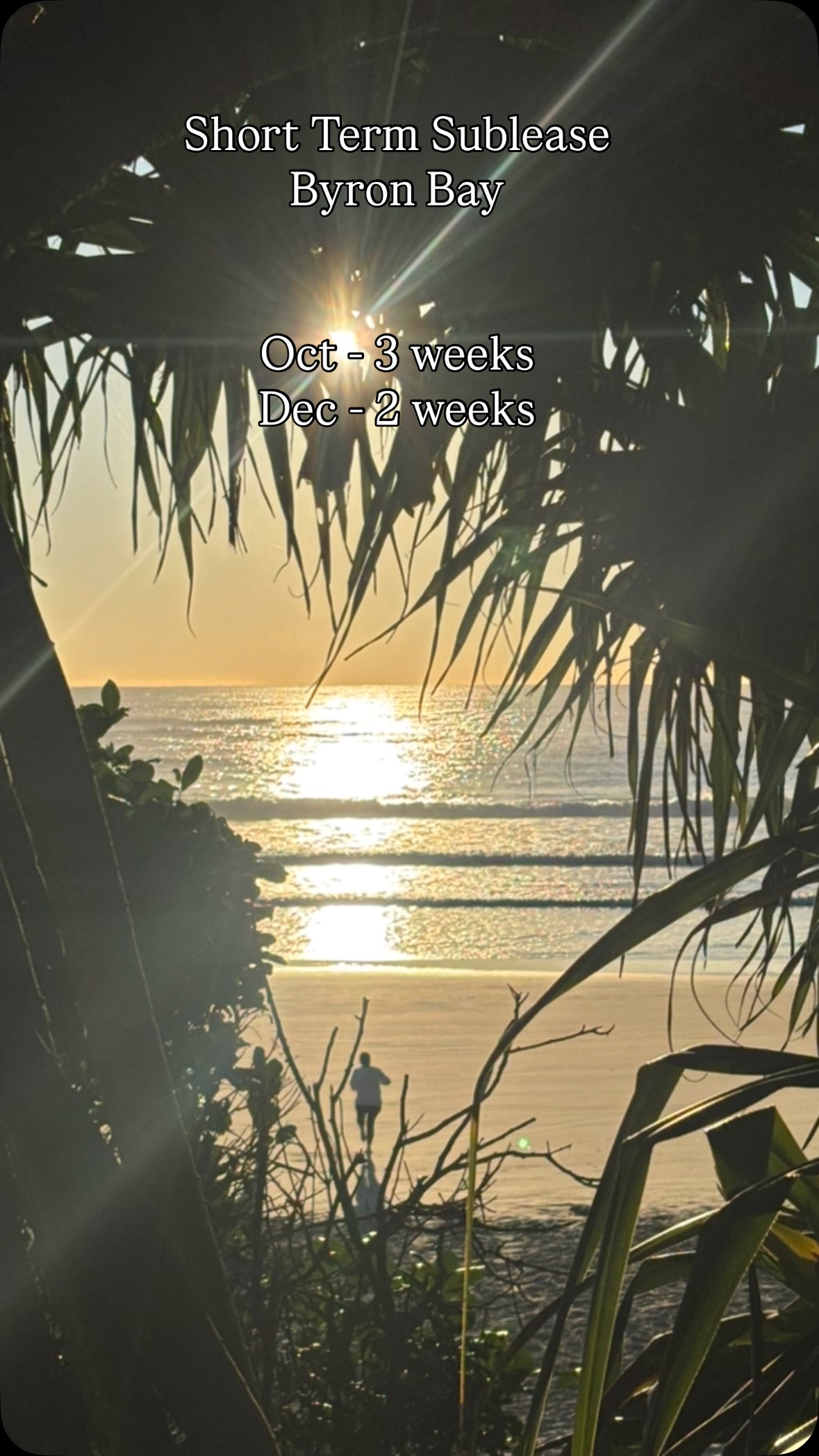 Short Term SUBLEASE (Byron Bay): 2 bedroom house
Availability:
3 weeks - 10 Oct to 3 Nov;
2 weeks - 11 to 26 Dec;
(dates can be flexible)
Location:
Byron Bay town (near Top Shop cafe)
Beds:
2 bedrooms
1 bathroom
Bed Setup options:
1x double + 1x king OR
1x double + 2x singles
Views/access:
Ocean views from every room;
15-minute walk/3 min drive to town centre;
direct national park access;
direct beach access via a 10-minute bush walk
10 min walk to Clarkes beach
15 min walk to the pass or tallows beach
Price:
$900 per week
Extras:
e-bike, and moped/scooter available for rent if interested.
Target guests: Friends and close community
We’re also open to sublet just the king room by the week at a subsidised rate, including periods when I’m in town. Perfect for solos seeking an affordable stay.
DM if interested
