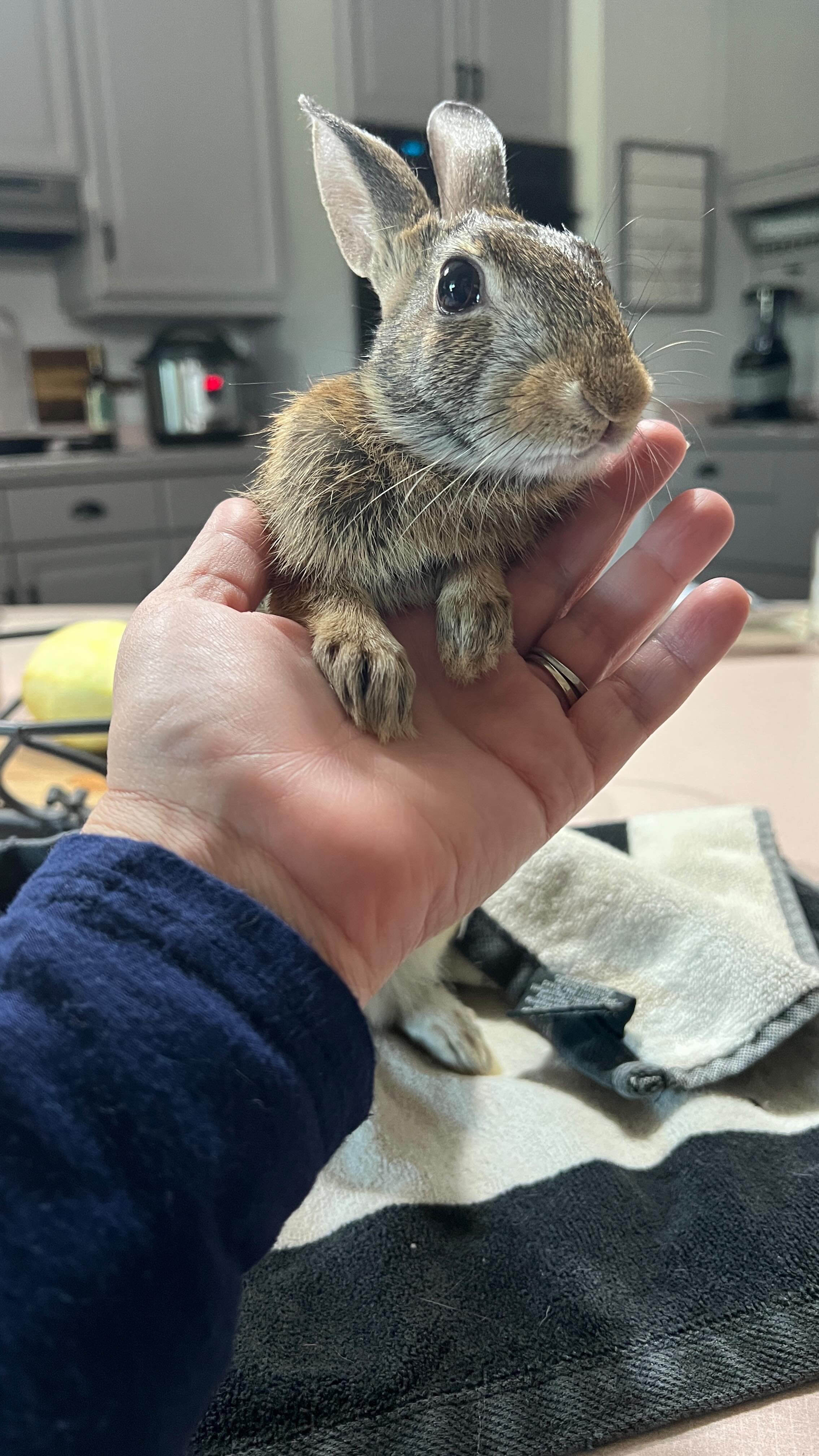 Being a mom and wanting more at the same time can feel like a tug of war.
You’re not crazy. You’re not lazy. You’re called.
So tell me👇🏻
If you had two extra hours a day, would you use it for:
A. Building your dream.
B. Resting + recharging
C. A mix of both.
#FaithDrivenBusiness #ChristianMoms #TimeFreedom #DigitalMarketingForBeginners