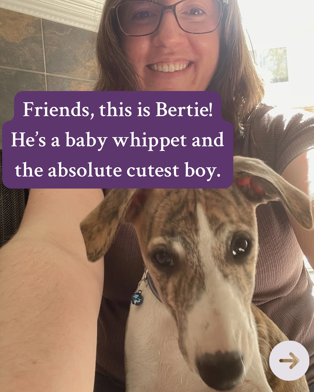 Cute life update and important question for Seattle friends!!