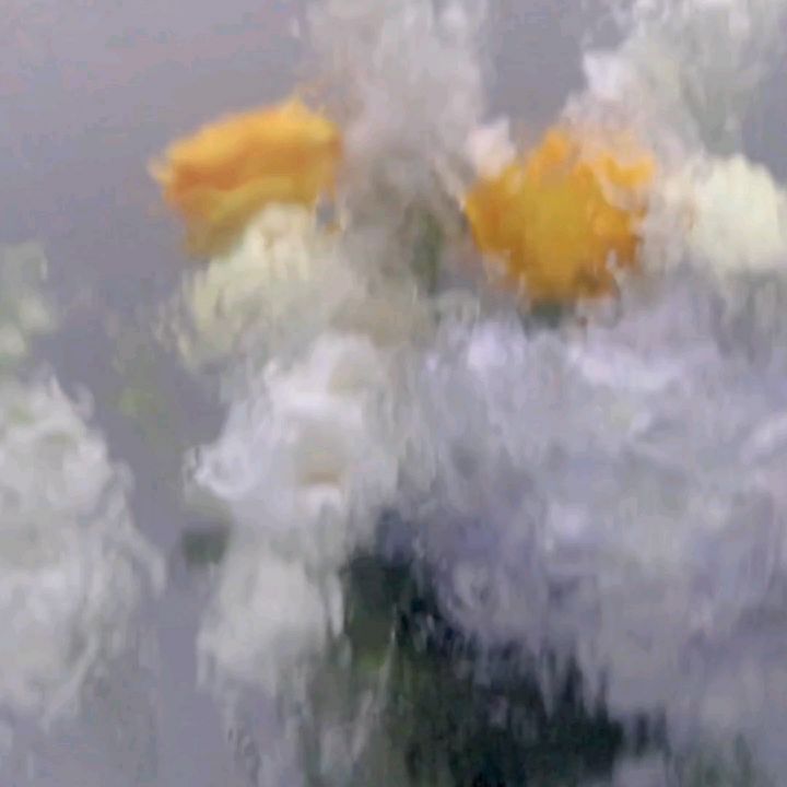 We can't brush off harmful ideas as "just opinions" when those ideas fuel real-world harm. Words, narratives, and ideologies shape policies, behaviors, and even violence.
Social media echo chambers, fragmented news sources, identity-based politics, economic anxieties, and political incentives all deepen the divide in our lived realities. Polarization is real, but so is the work of dialogue, media literacy, and civic education. The question is, "are we willing to engage with nuance and empathy?"
Original post by Collective Member @h.jackson.msw
#socialworkispolitical
#unlearnandrelearn
#accountability
#criticalthinking
#politicalpolarization
#liberationforall
#healingjustice