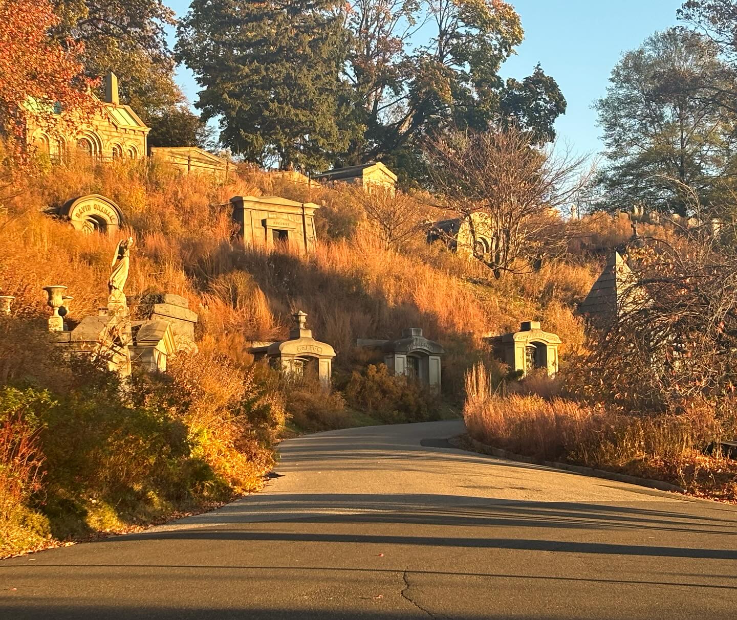 Green burial in New York City! This Sunday October 28th at the historic Green-Wood Cemetery in Brooklyn @historicgreenwood, I’ll be weaving caskets and talking about my collaboration with @alixstrauss Alix Strauss (featured on @oprahdaily earlier this year.) Honored to be presenting along side the legendary Amy Cunningham of @fittingtributefunerals, who will be talking about green burial and giving a shrouding demonstration (featuring a willow burial tray woven by my friend and teacher Mary Lauren Fraser @fraserbaskets!). Swipe for more program details or visit www.green-wood.com @historicgreenwood. A million thanks to power house @gabriellegatteaux for organizing this event! Swipe further for a selfie from our meet-cute last fall at the beautiful Green-Wood natural burial section🥰
#greenburial #climatechangeawareness #sustainability #willowcasket #willow #brooklyn #newyorkcemetery #thisweekend #madeinbrooklyn #weaveandgrieve #historicgreenwood #oldcemetery