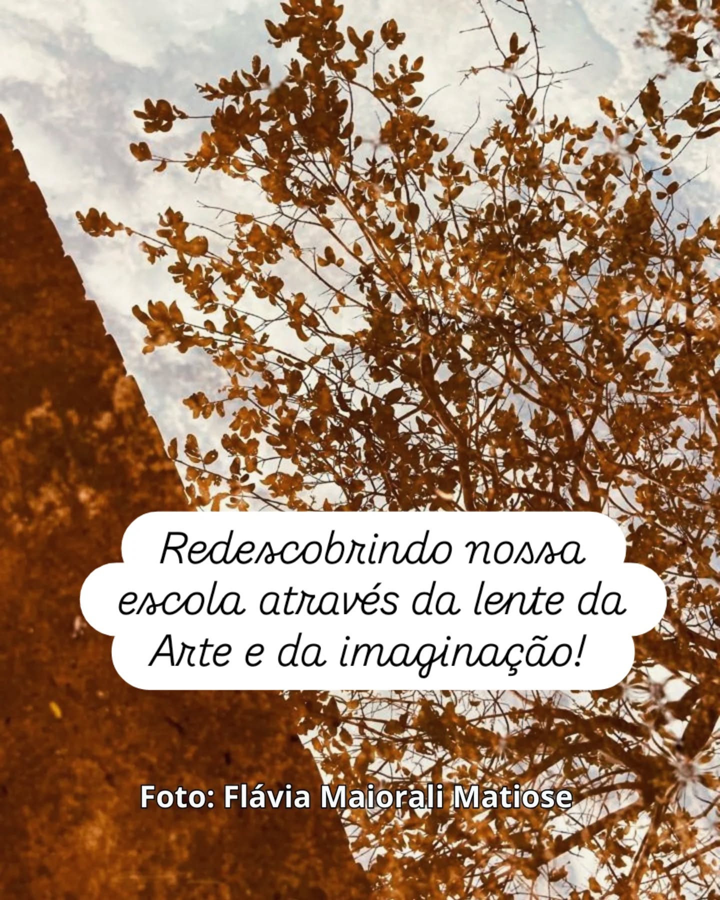 Literatura e Arte
O olhar do fotógrafo: redescobrindo a nossa escola.
Um novo olhar para o nosso espaço, onde cada detalhe se transforma em arte.
#literaturaearte #fotografia #olhardofotógrafo #redescobrindonossaescola #artenaescola #educaçãocomarte #criatividade #expressãoartística #cultura #escola