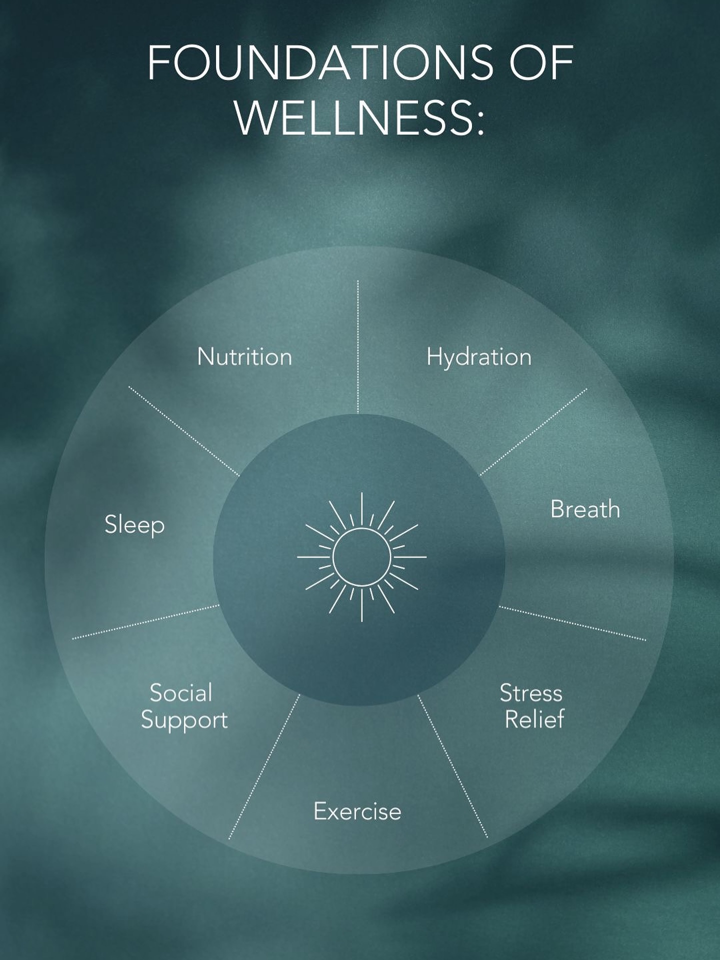At Revity Pilates we believe true wellness is built on more than just movement. It’s about creating balance in every area of life.
The foundations of wellness include
• Nutrition to fuel your body
• Hydration to energize your cells
• Breath to calm your mind and restore focus
• Stress relief to release what weighs you down
• Exercise to strengthen and support your body
• Social support to connect and grow with others
• Sleep to recharge and repair
When these areas align you feel stronger more resilient and more in tune with yourself. Pilates is the perfect practice to support each one of these foundations and help you create a lifestyle rooted in wellness and vitality.
Start your journey at Revity Pilates and discover what it means to thrive from the inside out.
#RevityPilates #PilatesStudioBurlington #PilatesOakville #WellnessLifestyle #PilatesCommunity #MindBodyBalance #BoutiquePilates #PilatesForLife #WellnessJourney