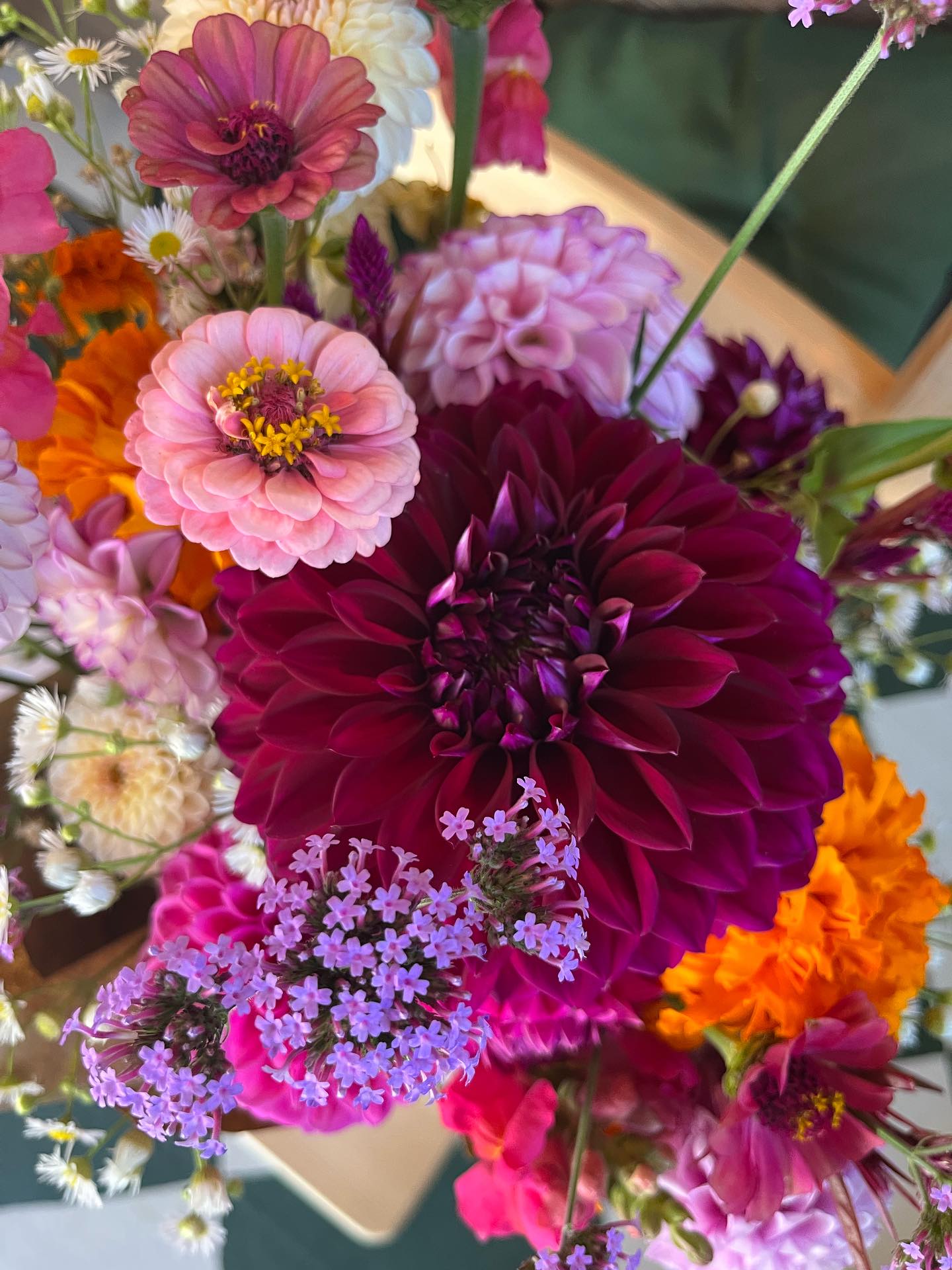It’s always an honor to be entrusted with the making of a bereavement bouquet. This one honors a woman who, we were told, tread lightly on the Earth. She had a soft, quiet nature, and we agreed with our clients on a color palate that would include purple and pink. We added a few darker magenta and bright fuchsia and orange blooms for contrast and to let in just a bit of autumn.
There are as many floral designers across the Hudson Valley as there are stars — but there’s room for us all, as we each have a different aesthetic and way of looking at the world.
Our way is to keep things a little wild, not overly-arranged, and we often introduce a few grasses or flowers alongside showy blooms (e.g., dahlias) that some might consider “weeds”.
And, contrary to many designers, we don’t try to construct bouquets based on how long they’ll last — we prefer bouquets that will evolve over a number of days. We tell our customers which flowers will probably fade first — we encourage interaction — looking each morning at the blooms to see which ones are passing, which are opening.
We hope you’ll keep us in mind for florals that mark the big moments in your lives — we don’t just arrange flowers, we work with you to build a story.
#floraldesign
#flowershop
#bereavement
#bouquet
#dahlia
#dahliaseason
#upstate
#upstateny
#hudsonvalley
#flowersandbooks
#bookshop