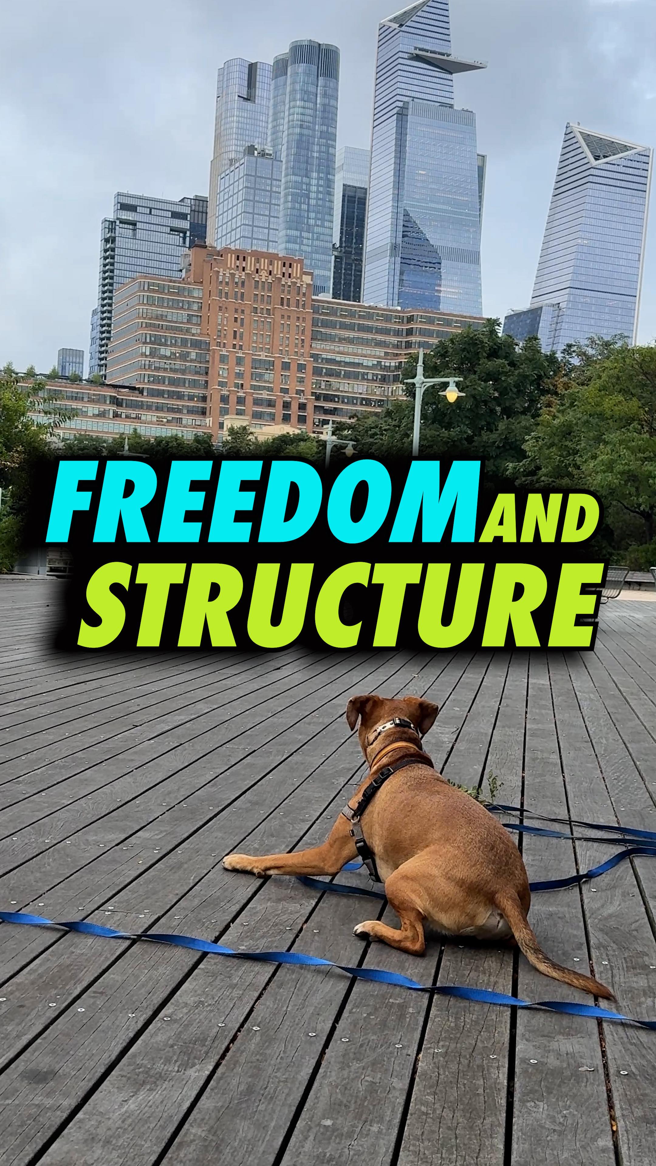 🙏 share this W/ your dog peeps!
For training in NY & LA- DM 🐶
#dogs #dogtraining #dogmom #dogdad