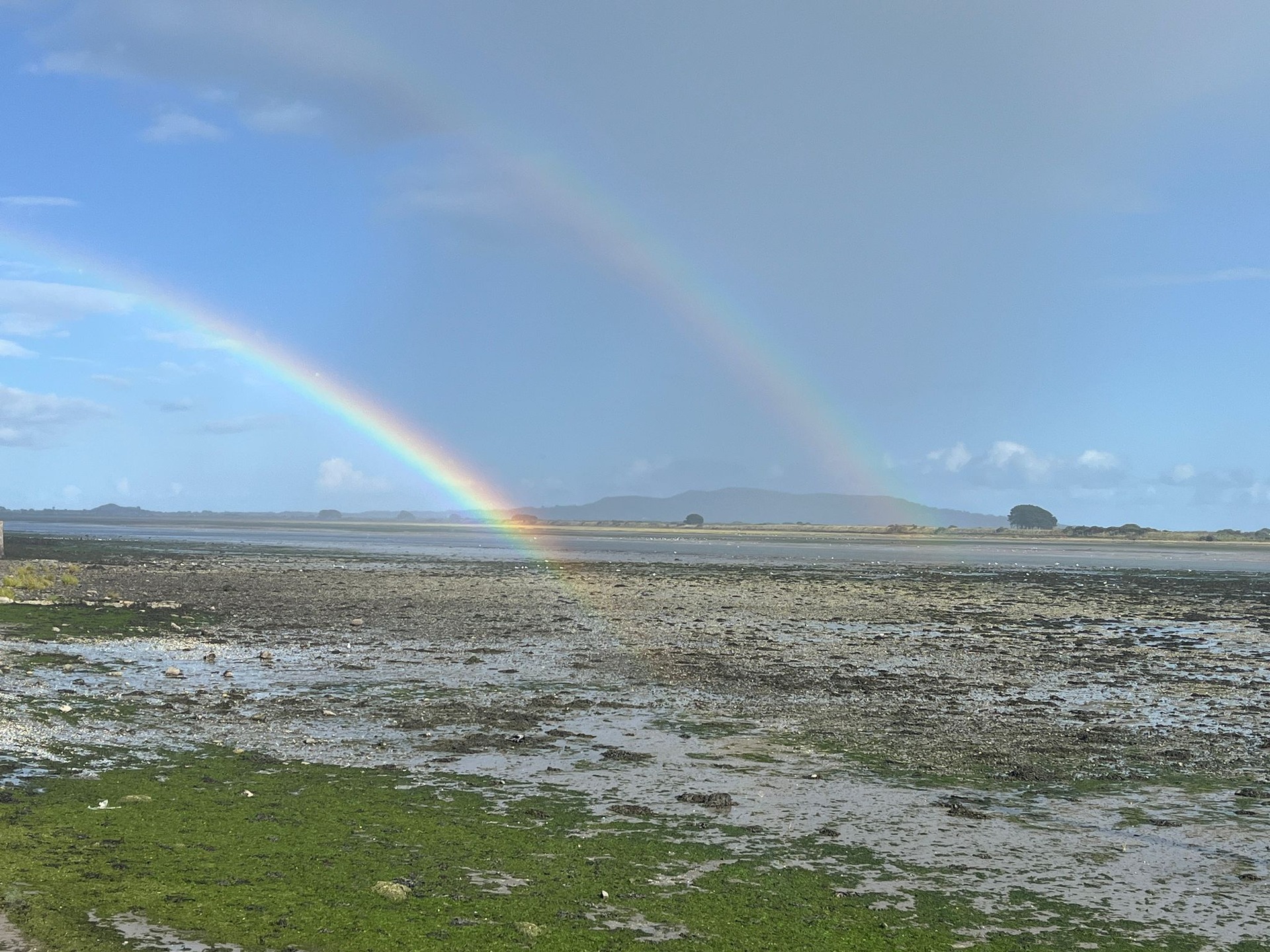 Springtide and rainbows! What more could a surveyor ask for?
This weekend, local coordinators Patrick Veale, Dr. Dorota Kolbuk and Nika Scheepers took local Coastwatchers out to the lagoons of Bull Island, Dublin, to make the most of the extremely low Spring tide. They didn't find the seagrass they were hoping to find, but found a lot of stunning species typical for salt marshes, like Sea-purslane, Spergularia, Marsh Samphire and Sea Aster! Keen to join one of these exciting field sessions yourself? Don't hesitate to reach out to your county's regional coordinator, or keep an eye on our socials for training and event updates in your area! More info here: https://www.coastwatch.org/all-ireland-survey-autumn-2025
