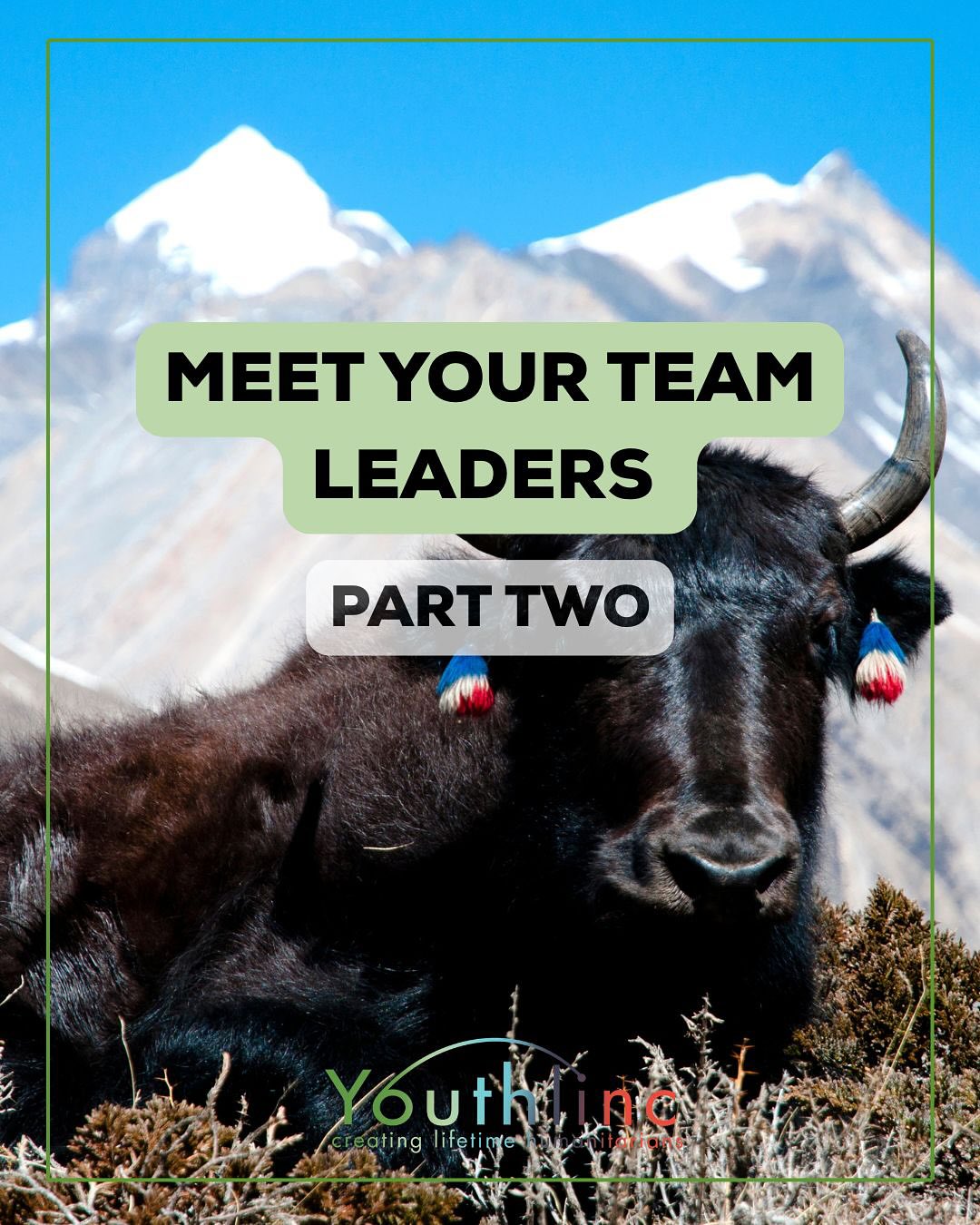 Introducing part two of our 2026 Service Year Team Leadership!
We’re excited to shoutout our incredible Team Leaders and Assistant Team Leaders! Their diligence, leadership, and cross-cultural competence make them excellent choices to lead our service projects and make a lasting impact. Be sure to follow your team’s instagram account - they are tagged in this post. Our final team leadership announcement will be posted tomorrow!
Don’t forget to head to the link in our bio to join these leaders in creating lifetime humanitarians!
#Youthlinc #ServiceYear #ServiceYear26 #LifetimeHumanitarians #Utah #Service