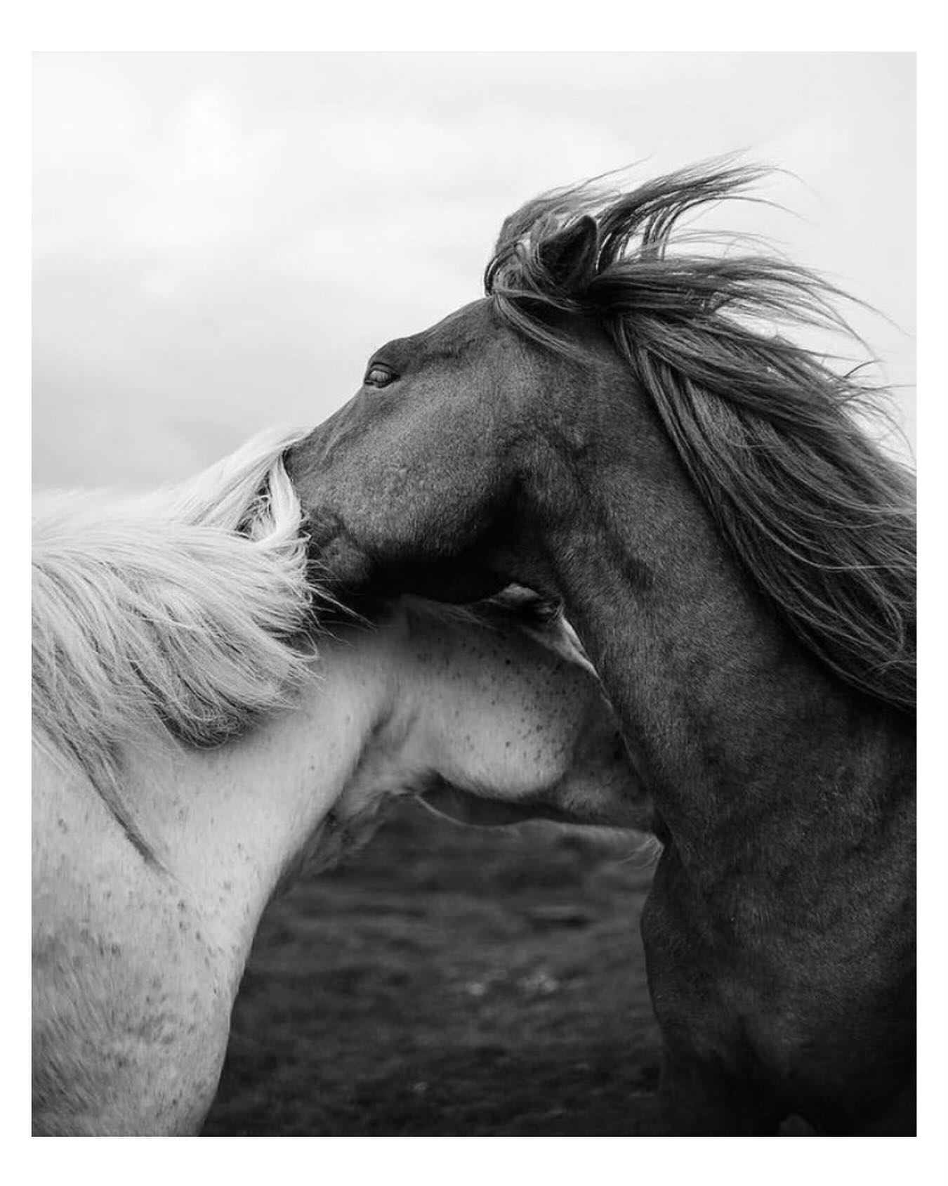 Når dit svar er mere end ord…
Hver gang vi reagerer på et andet menneske, åbner vi for en energiudveksling.
Det er ikke bare ord – det er en forbindelse, der kan påvirke både dit felt og din frekvens.
Derfor kan et simpelt “ja” eller “nej” bære meget mere vægt, end vi tror.
Vores respons er i sig selv en accept af at træde ind i en fælles energi.
Hvad sker der mon i dit liv, hvis du begynder at være mere bevidst om, hvem – og hvad – du vælger at reagere på?
🔸🧡🔸
Kærligst Pernille
______________________________________
#resonans
#intuition
#1til1session
#selvbevidsthed
#alignment
#essens
#frekvensarbejde
#autencitet
#vibration
#bevidsthedsarbejde
#selvudvikling
#kærlighed
#kenddigselv
#selvomsorg
#hjertesager