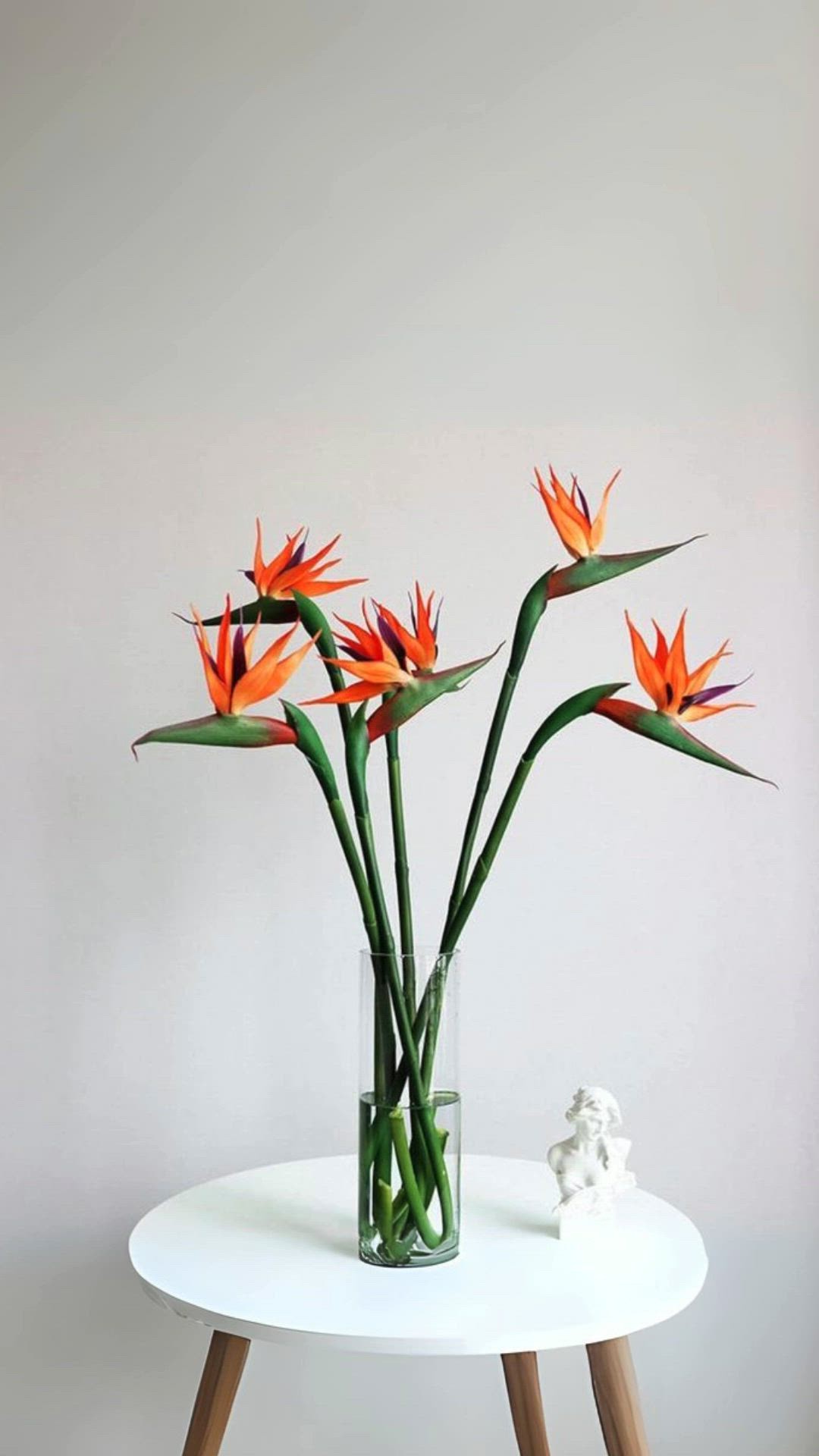 At The Avenues Estate, heritage is home—
the warmth of family,
the joy of belonging,
the beauty of togetherness.
At The Avenues Estate, heritage lives on—
in homes filled with laughter,
in a community growing side by side,
and in memories still waiting to be made.
#EstateLiving #HiltonHeritage #MidlandsLifestyle #FamiliesInHilton #LocalResidents #PropertyInvestors #EasyLiving #Connection #FutureValue