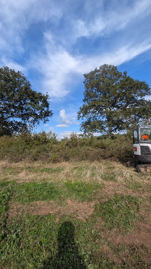 Safety works along a bridleway 🌳 these Ash were long overdue a visit to the floor with the Arb digger ensuring limited input from operators 🪚 all stacked for habitat 🐁🐜🐦
@m1waymason @bethandewey @thearbprentice
#safetytreeworks #treeremoval #ashdieback #treecontracting #andovertreesurgeon #hampshiretreesurgeon #winchestertreesurgeon #wiltshiretreesurgeon #siteclearance #arborist #treework