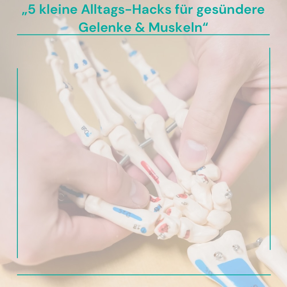 „Mach deine Gelenke glücklich – 5 einfache Tipps aus Physio & Reha“
Bewegungspausen einbauen – alle 45–60 Minuten kurz aufstehen, Schultern kreisen, Beine ausschütteln.
Richtig trinken – Wasser unterstützt nicht nur den Stoffwechsel, sondern auch die Gelenkflüssigkeit.
Kraft statt Schonung – gezieltes Training stabilisiert Gelenke und schützt vor Verletzungen.
Ergonomisch sitzen – Bildschirm auf Augenhöhe, Füße flach am Boden, Rücken angelehnt.
Eiweiß & bunte Teller – Proteine für Muskeln, Gemüse & Obst für Mikronährstoffe.
Welchen Tipp probierst du heute gleich aus? 👇 Schreib’s in die Kommentare!