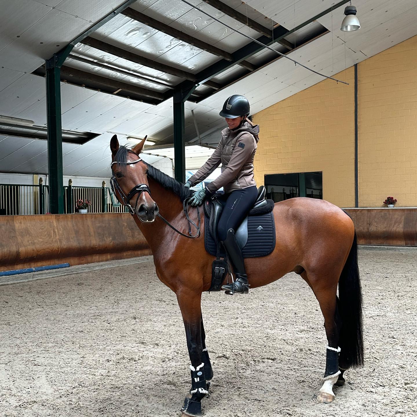 ✨ Say hello to Eaton! ✨
Onze nieuwe aanwinst 🐎
Wauw, zo dankbaar voor dit gave paard!
Laat het avontuur maar beginnen.
Dankjewel Ghislain & Marly voor deze geweldige kans! 🙏🏼❤️
Op naar mooie momenten samen!
4 jarige ruin (Escolar x Goldberg)