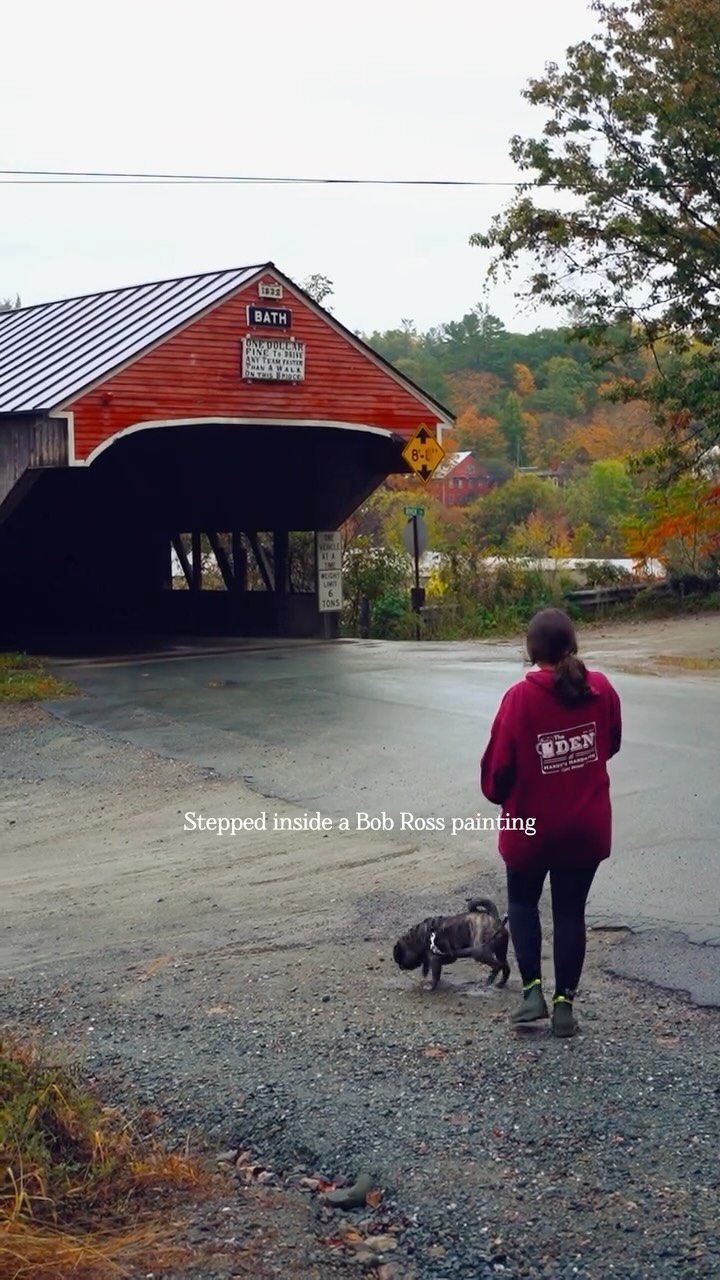 Happy little trees.
Welcoming fall with some of my favorites from New Hampshire and Vermont.
#fall #autumn #october #roadtrip #newhampshire #vermont #cabin