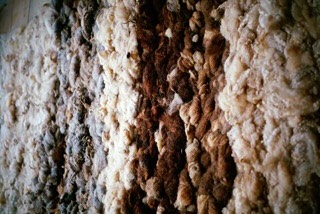 As we step into the cooler darker days let our hands be filled with the soft embrace of wool and fibre. The process of transformation from@raw wool to woven mat. Join me to learn about Pegloom weaving and this old craft on my weaving and dreaming workshop on 14th November @potager_garden. Please feel free to ask any questions - more information on my website- www.creativeroots.earth.
#wool #weaving #creativity #shetlandwool #pegloom #mindfulness