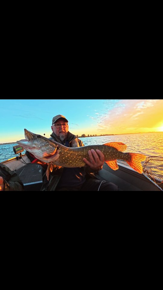 Double digit pike day in the #biesbosch.
Great company, nice weather and hunting pike. What else can you wish for.
#yamahaprofishing #batterylabs #stcroixrods #spro #lurefishingguide #ufxfishing