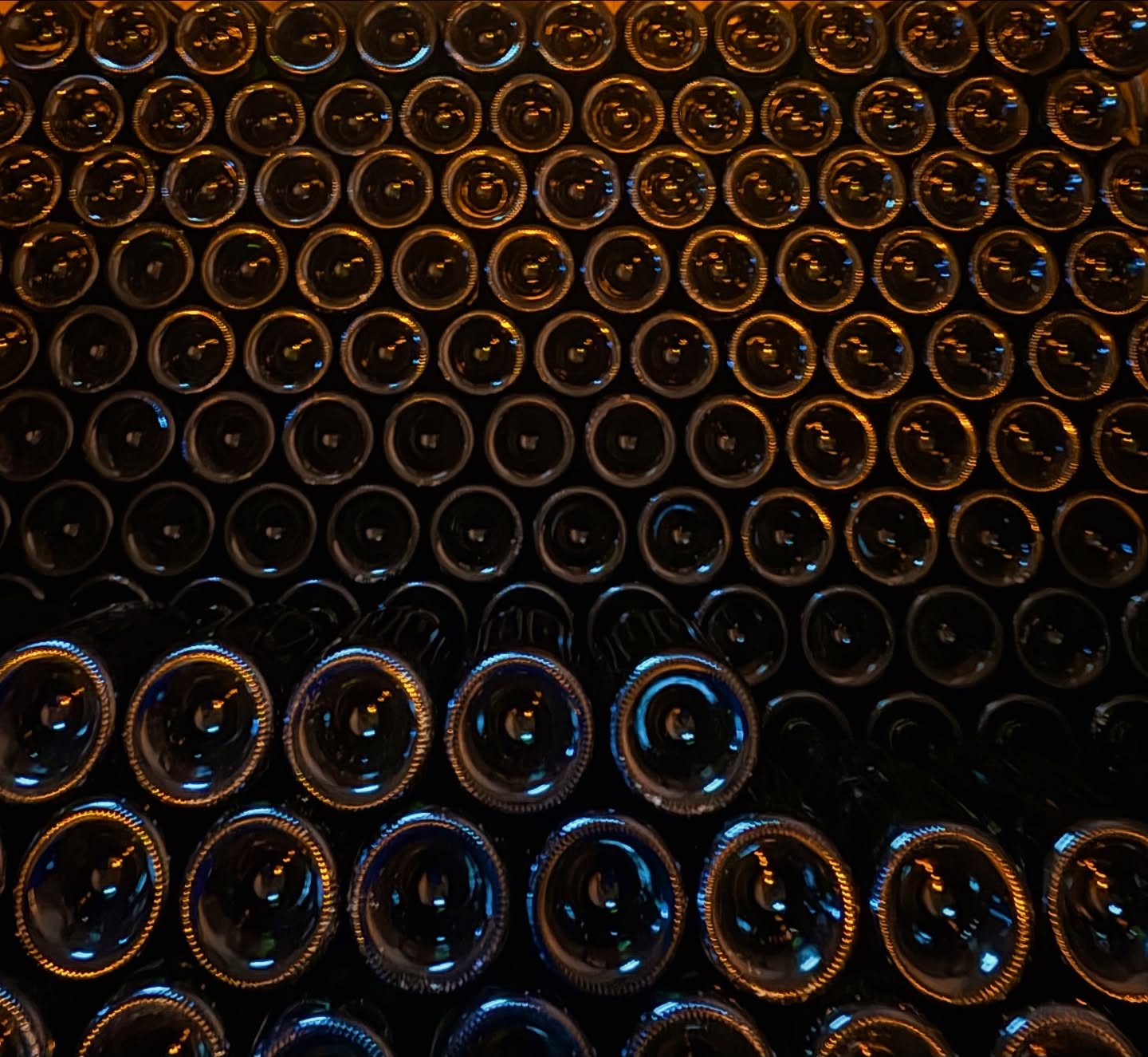 Jour de dégorgement
Hier nous avons réalisé une session de dégorgement nous permettant de conserver du stock pour les fêtes de fin d’année qui arrivent très vite !🥂
Pour rappel, cette opération consiste à expulser le dépôt qui s’est créé dans la bouteille après l’achèvement de la prise de mousse.
Sur ces photos, voici :
1- Les bouteilles dites « sur pointe » où le dépôt est stocké dans le col de la bouteille et dans la capsule.
2- Une fois la bouteille ouverte et le dépôt expulsé, il est temps de rajouter le bouchon en liège ainsi que la capsule reconnaissable de notre maison (ici des bleues pour notre brut: Cuvée Yannick, et grise pour notre carte blanche : Cuvée André).
3- Quand les bouteilles sont bouchées, muselées (muselet + capsule), elles sont lavées puis MIRÉES*
4- Les bouteilles sont rangées, prêtes à être habillées.
*MIRER : regarder la bouteille à travers une source de lumière pour s’assurer de la présence et du bon mélange de la liqueur d’expédition (permettant de déterminer le dosage: brut, extra-brut ou non dosé).
#champagne #degorgement #blancdeblancs #brut #champagnebrassart #moussy