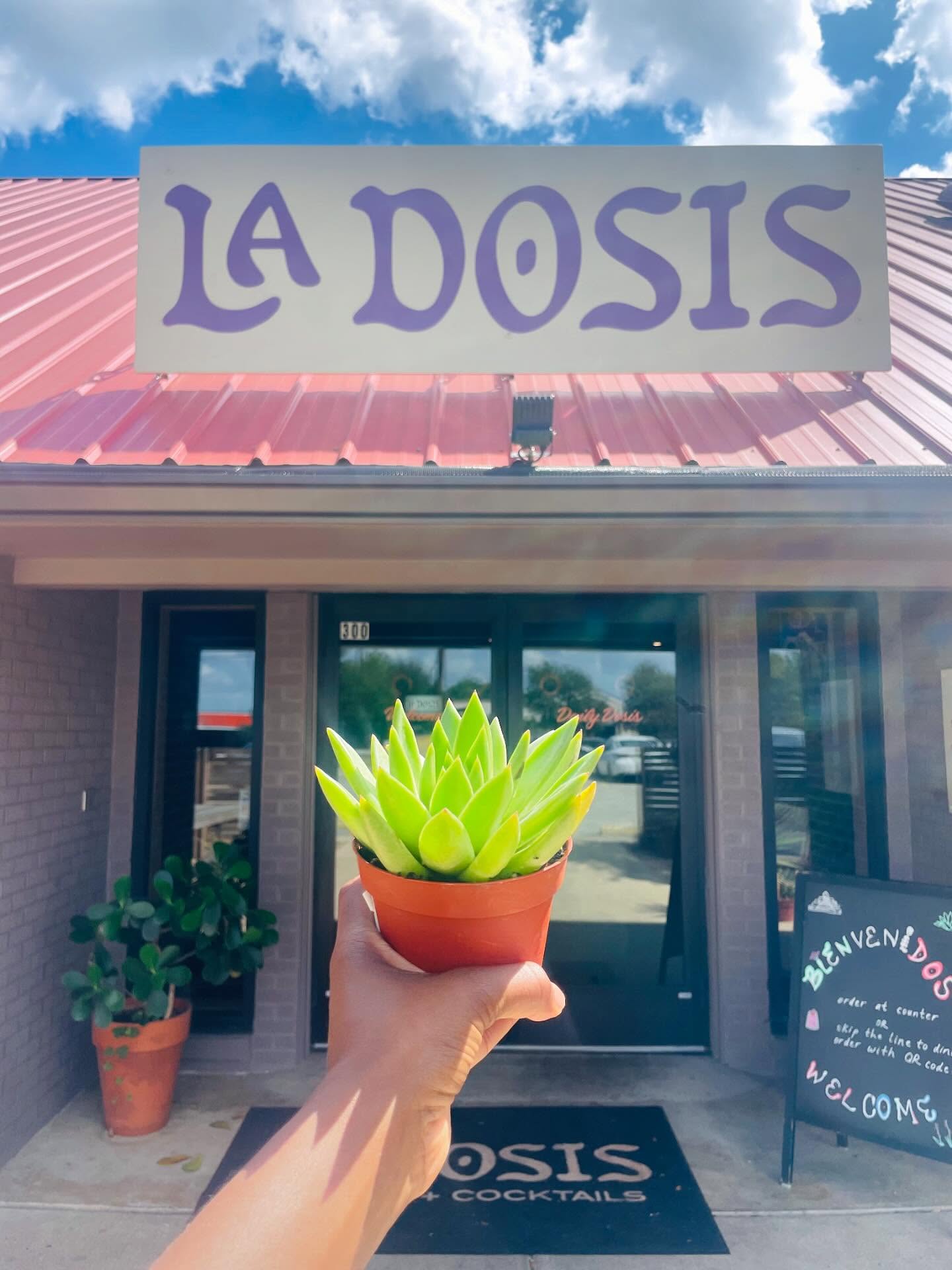 We have a succulent with your name on it!
We’re counting down the days until Yoga, Sound + Succulents!
Join @inspiringwomen.today and @yogaisforevery.body, for a special event “The Wellness Garden: Yoga, Sound & Succulents for a Cause” on Saturday, Sept. 27th.
We’re coming together at the vibrant @ladosiscoffee for a morning of movement, mindfulness & community in support of fighting period poverty in Texas.
⏰ 9:40 AM - 12:00 PM
📍 @ladosiscoffee | Cedar Park, TX
🎟️ Limited space - grab your spot now via 🔗 in bio OR at yogaandsucculents.eventbrite.com
Grab a bite and/or a drink with a 15% menu discount from La Dosis!
Ticket proceeds support period poverty relief in Central Texas through Inspiring Women Today’s Hygiene Haven lockers! Bonus - bring a hygiene item to donate.
🪴 🧘🏻♀️See you on the mat!
#inspiringwomentoday #giveback #periodpovertyawareness #plantsofinstagram #yogaandplants #cedarparkevents #austintexas #plantlover #texasnonprofit #giveback #thingstodoincedarpark #visitcedarpark #thingstodoinAustin #yogaatx
#yogacommunity #supportlocaltx #endperiodpoverty #planttherapy