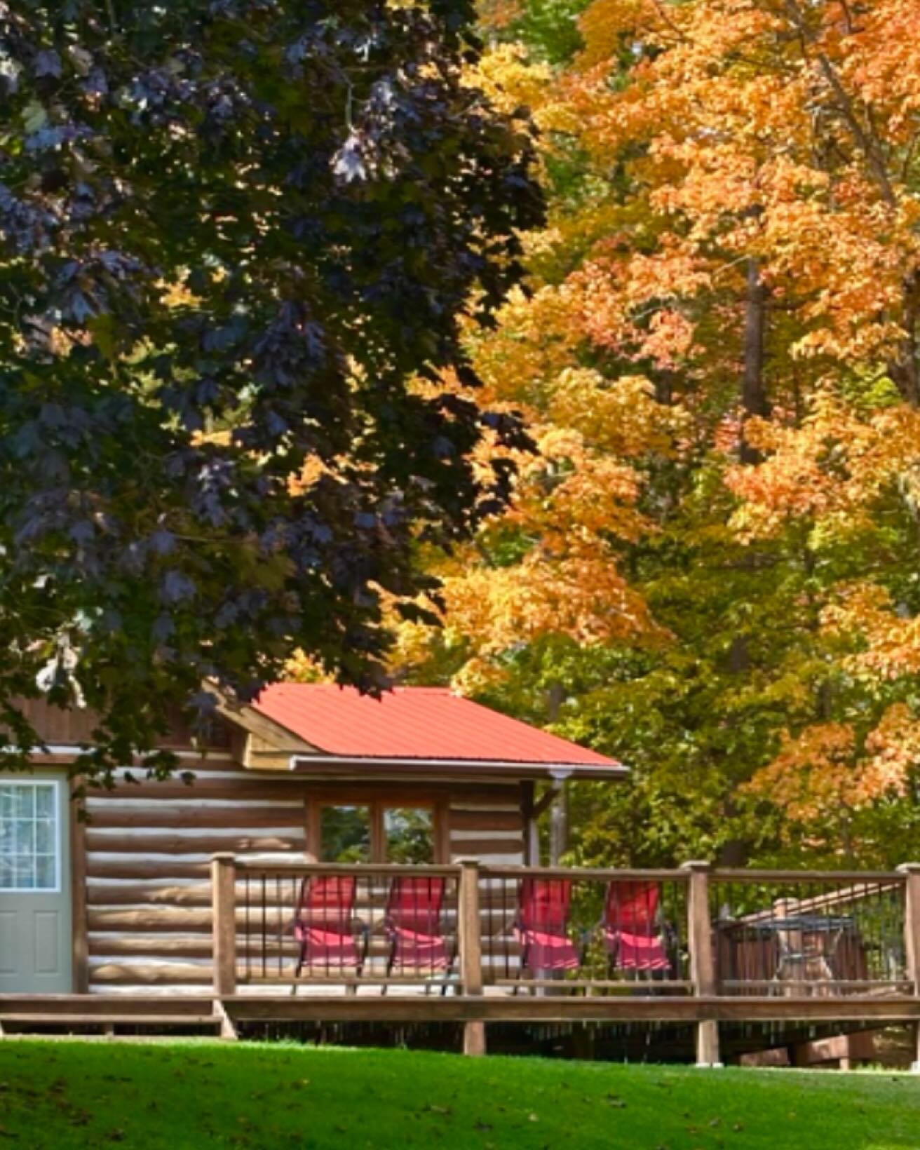 Last cottage left for this weekendđ Snag it before the fall colours disappearâfaster than beer at a campfire.