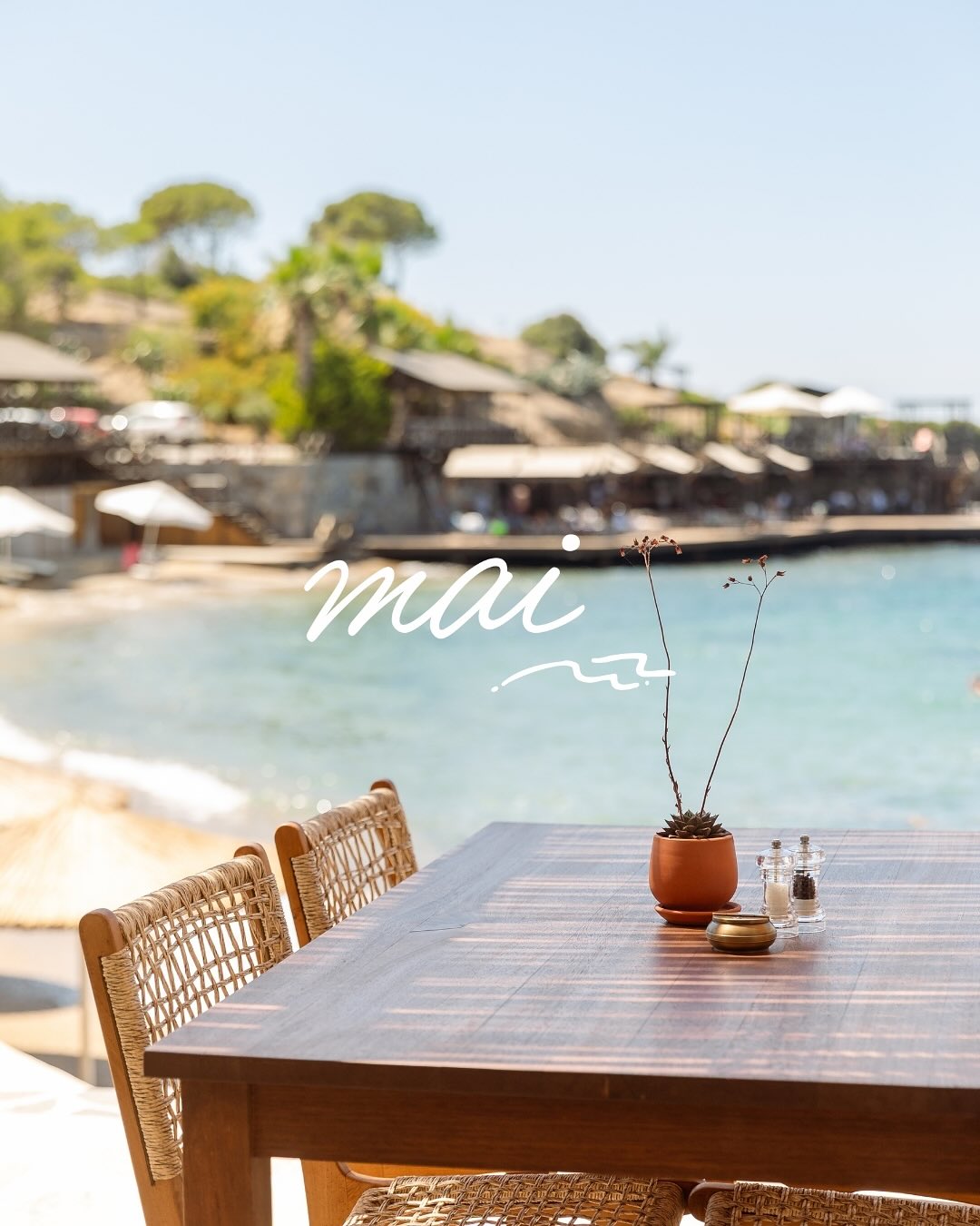 Mai’nin hikayesi daha yeni başladı ve biz bu yolculuğun anlatıcılarından olmaktan mutluluk duyuyoruz. 🌸