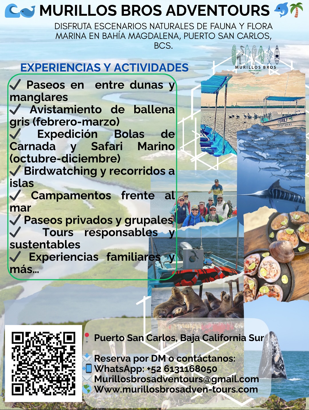 ✨ ¡Vive la magia de Bahía Magdalena con Murillos Bros Adventours! ✨
De octubre a diciembre sé parte de la Carrera de la Sardina Mexicana, donde marlines, delfines, lobos marinos y aves se unen en un espectáculo natural único 🌊🐟🔥.
De febrero a marzo, acompáñanos en el avistamiento de la ballena gris, una experiencia inolvidable junto a estos gigantes del mar 🐋💙.
También ofrecemos paseos entre dunas y manglares, birdwatching, campamentos frente al mar y tours responsables que conectan con la naturaleza 🌱.
📍 Puerto San Carlos, Baja California Sur
👉 Reserva enviándonos DM o al WhatsApp: +52 6131168050
✨ Experience the magic of Magdalena Bay with Murillos Bros Adventours! ✨
From October to December, join the Mexican Sardine Run, where marlins, dolphins, sea lions, and seabirds create a unique natural spectacle 🌊🐟🔥.
From February to March, come with us for gray whale watching, an unforgettable encounter with these ocean giants 🐋💙.
We also offer dune and mangrove tours, birdwatching, beachfront camping, and responsible tours that connect you with nature 🌱.
📍 Puerto San Carlos, Baja California Sur
👉 Book by sending us a DM or WhatsApp: +52 6131168050
#MurillosBrosAdventours #MagdalenaBay #Ecotourism #WhaleWatching #SardineRunMexico #NatureLovers #TravelMexico
@sectur_mx @turismocomondu15