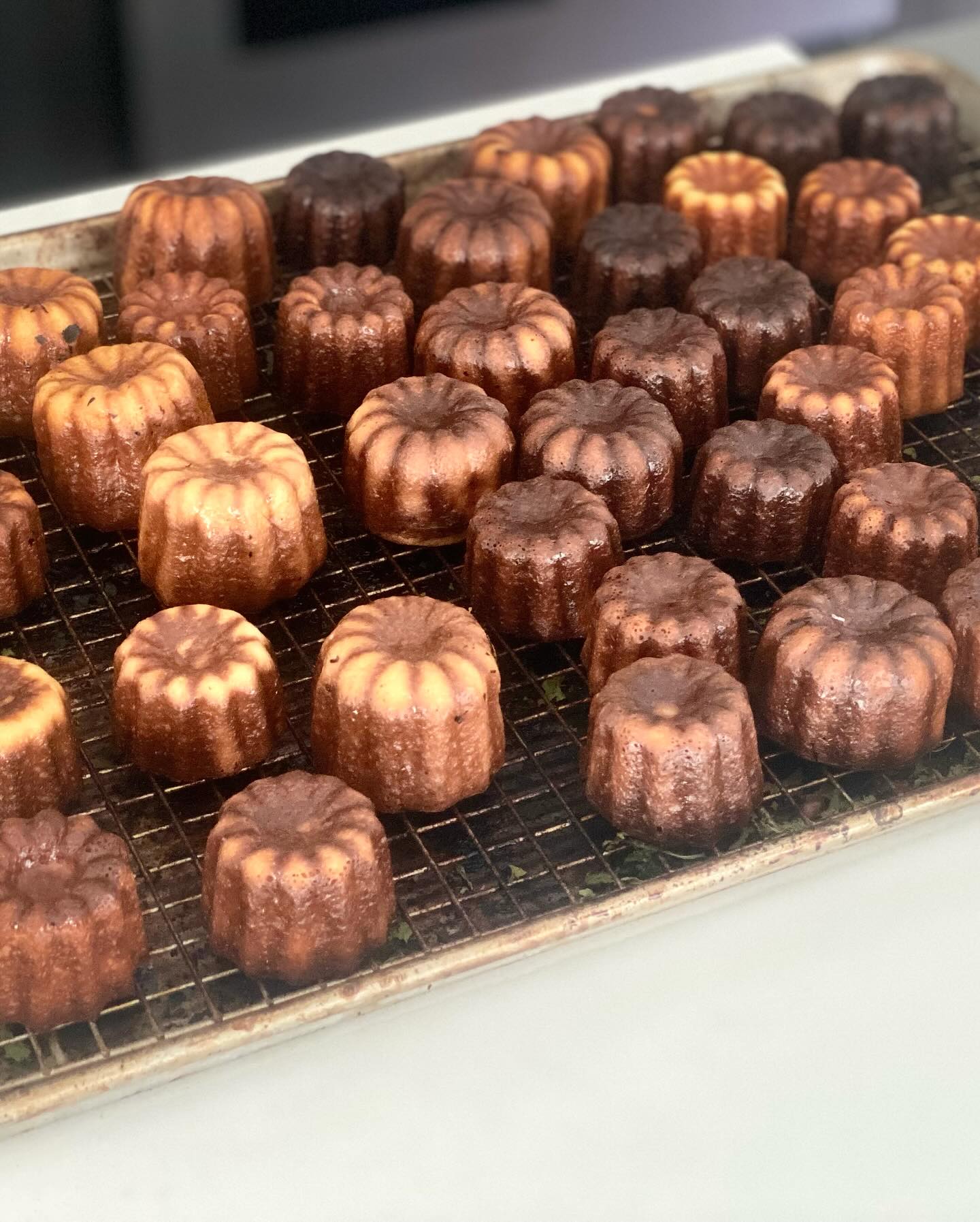 I don't know exactly how our dear clients find us but they do. I really like this idea of being one of the best kept secrets in Georgia because I firmly believe we offer something very rare and the food is just a part of it. We want your guests to remember your event for the rest of their lives, it is that simple and that difficult. It's been almost 13 years, growing invisibly intentionnaly like a tree, slow, steady and strong. We don't run a business, we walk it, aiming for the perfect size, not too small, not too big, but perfectly sized to make sure every person feels they are living a special moment. Thank you for supporting our tree 🙏🏼❤️🙏🏼❤️🙏🏼