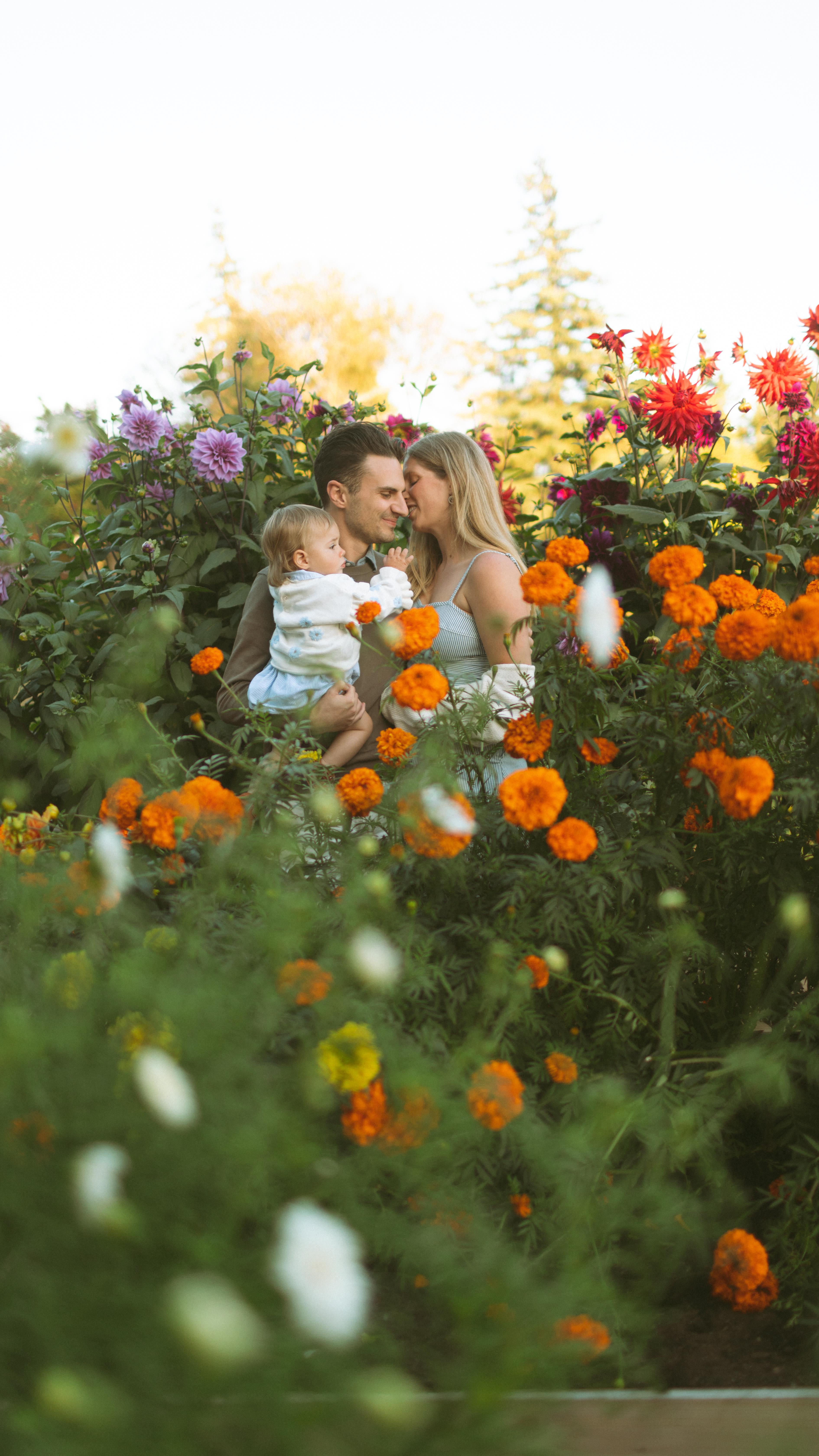 GARDEN MINIS this Sunday happening in my little ole garden. Very chill, very discounted, I wanted this little garden to be shared with you, Bellingham.
Message me to secure your spot 💕🌸🎉
Sunday 9/14
5-7pm
$150
5-10 edited images