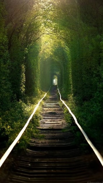 The “Tunnel of Love“ became the most
popular installation in 2019.
In 2025, it returns!
2.5 tons of rails, 3,000 decorative branches,
and magical lighting!
The project was created by a non-governmental organization @ukrainewow and @grestodorchuk.
Decor and Production: @fioriofficial_decor @fioriofficial