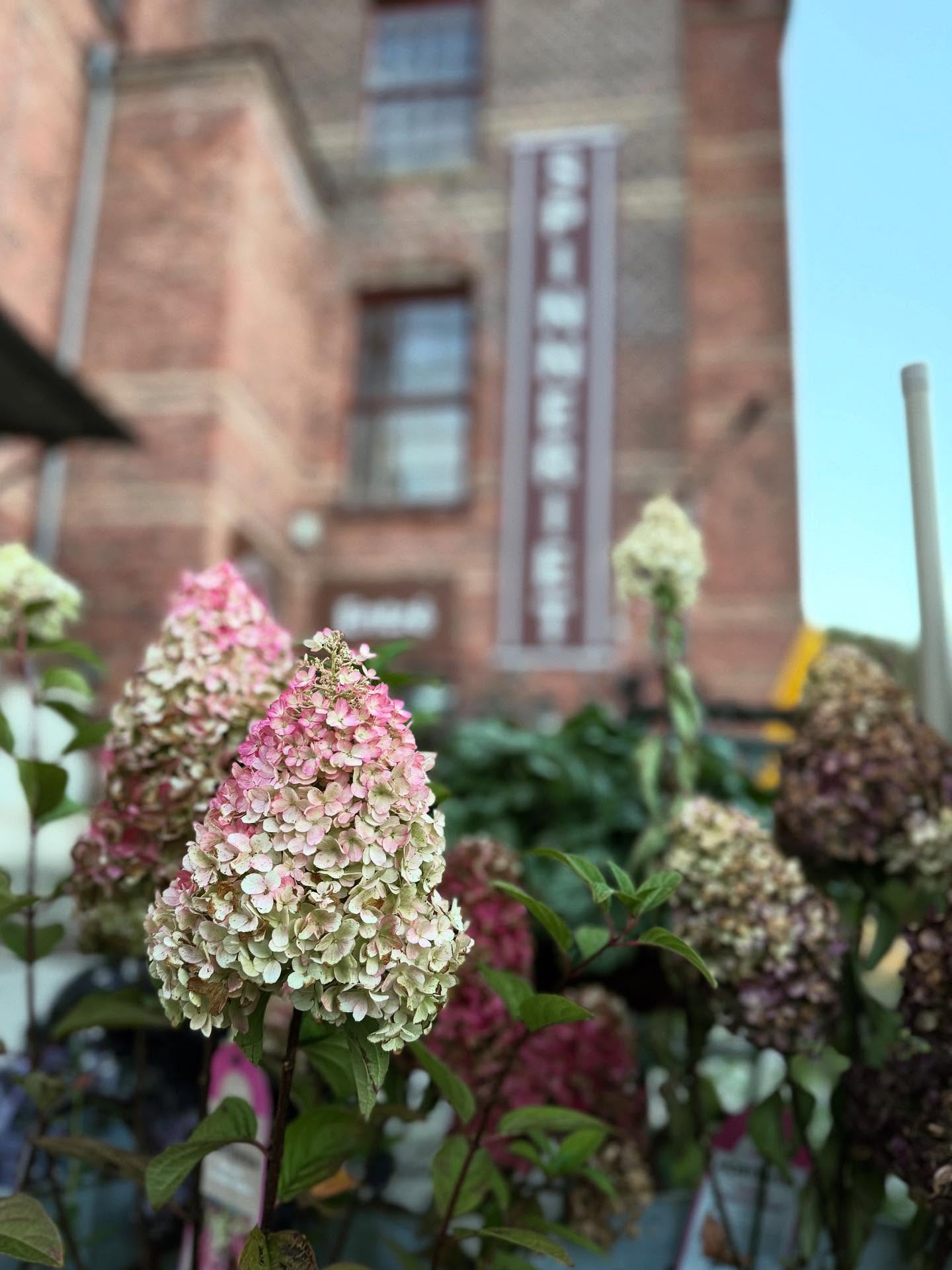 Hösten är här 🍂
Passa på att komma in i värmen i vårt vackra gamla spinneri och uppdatera både dig och hemmet med höstnyheterna 🤎
Vi har butiker på alla fyra våningsplan och restaurang och café 🍽️ ☕️
Öppet onsdag till söndag kl 11-16 🛍️
Varmt välkomna till Spinneriet 🤎
#spinnerietlindome #unikabutiker #lindome #höstnyheter