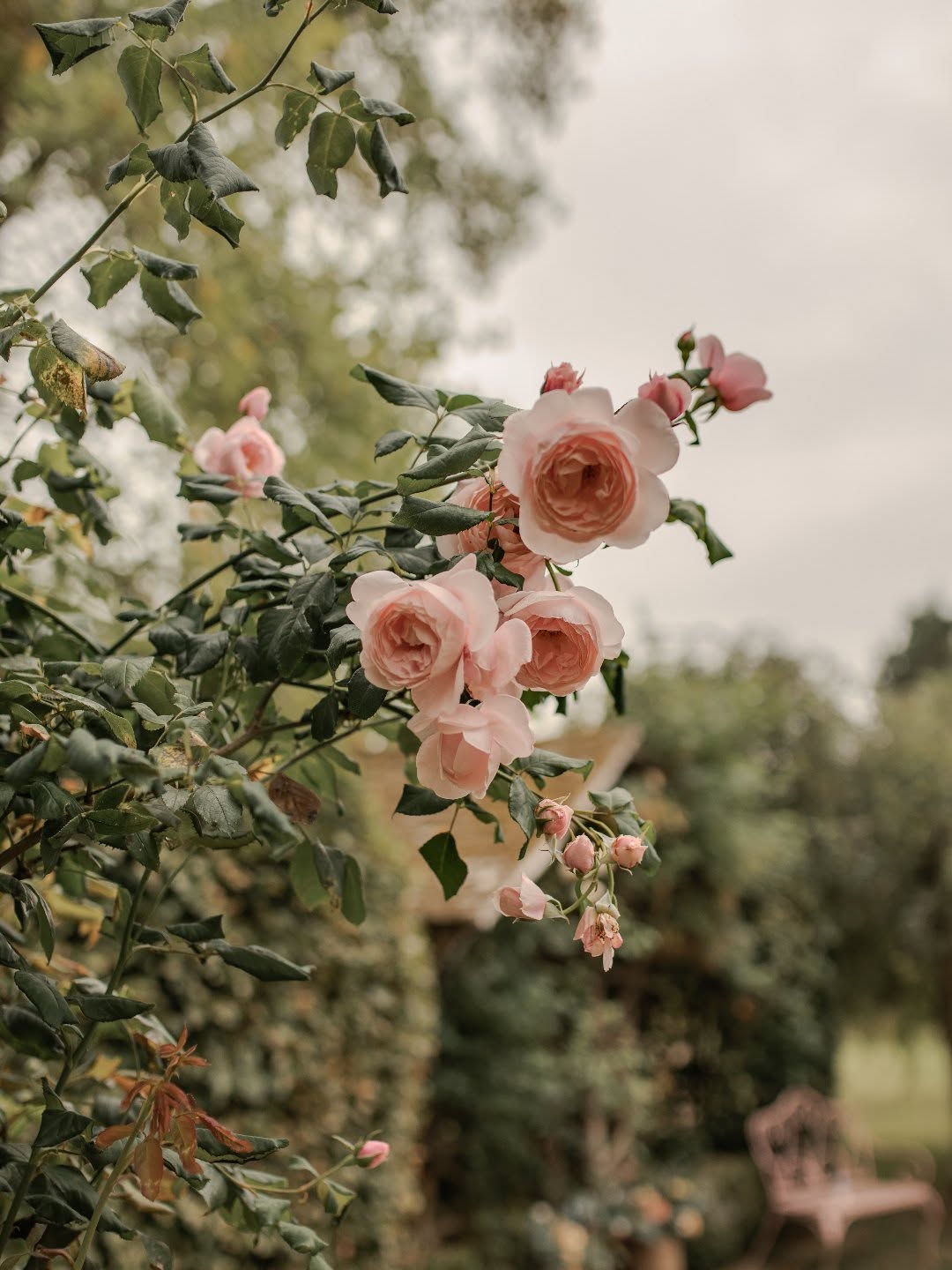 I admit I am not great at social media. The true reason being, I pour all my heart and energy into my couples big day and perfecting edits and galleries. It will always prioritize over socials and I'm not going to apologize for that.
I am always here though, so don't hesitate to reach out 🥰
#weddingphotography #ukweddingphotographer #cotswoldwedding #cotswoldweddingphotographer #gloucestershireweddingphotographer #oxfordshireweddingphotographer #friarscourt