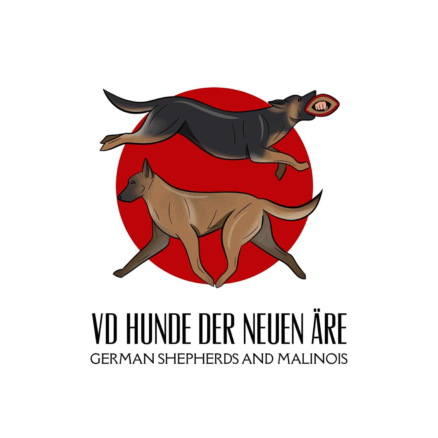 New Kennel Logo!
Bringing together sport and show, couldn’t be happier. Exactly what I had envisioned and so happy that Campbell En was able to create this for me
•
•
#germanshepherd #belgianmalinois #workingdog #sportdog #igp #shutzhund #showdog #psa #frenchring #akc #ukc #iabca #gsd #malinois